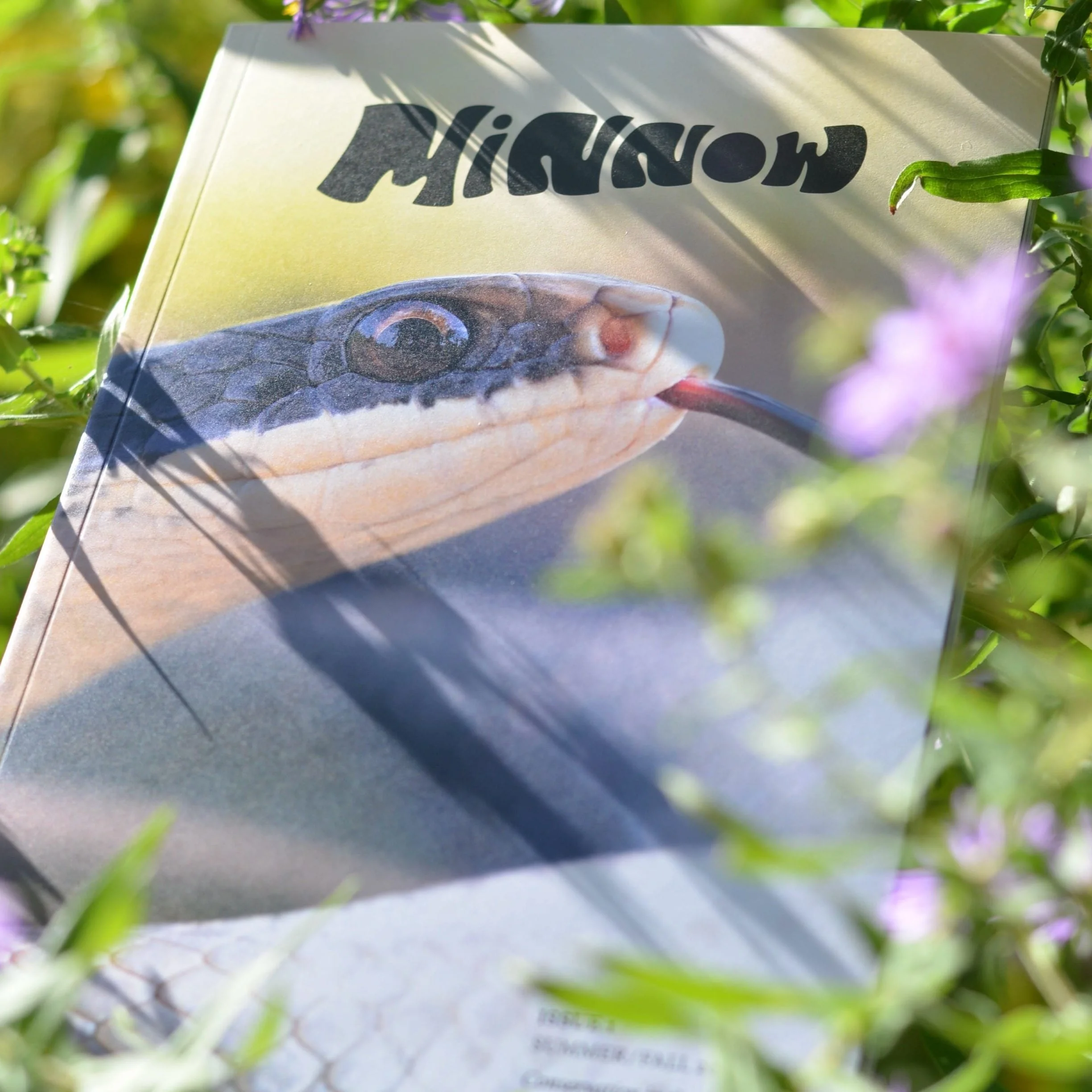 Ep. 272 : Minnow Magazine