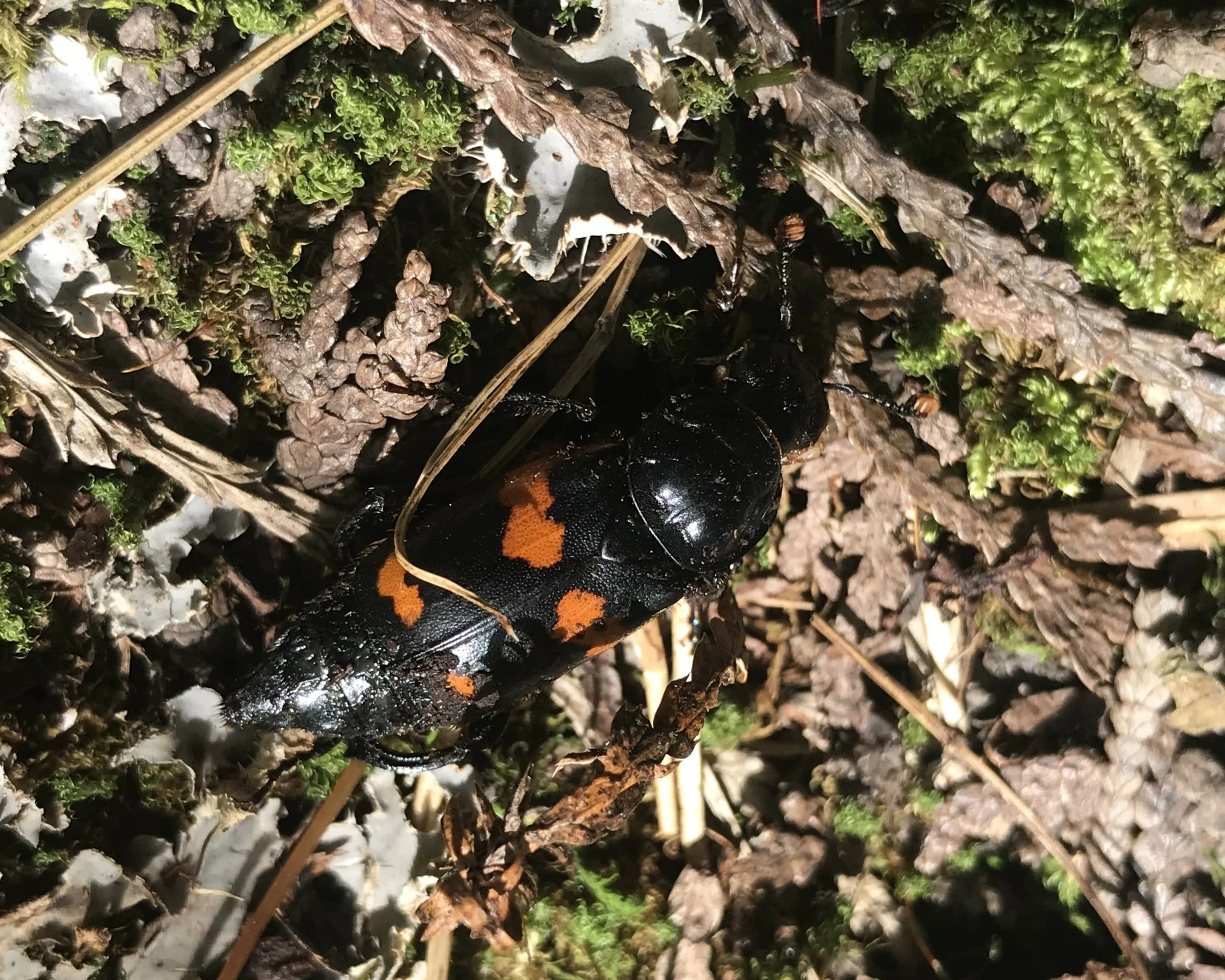 IMG_6118 edit-min.JPG