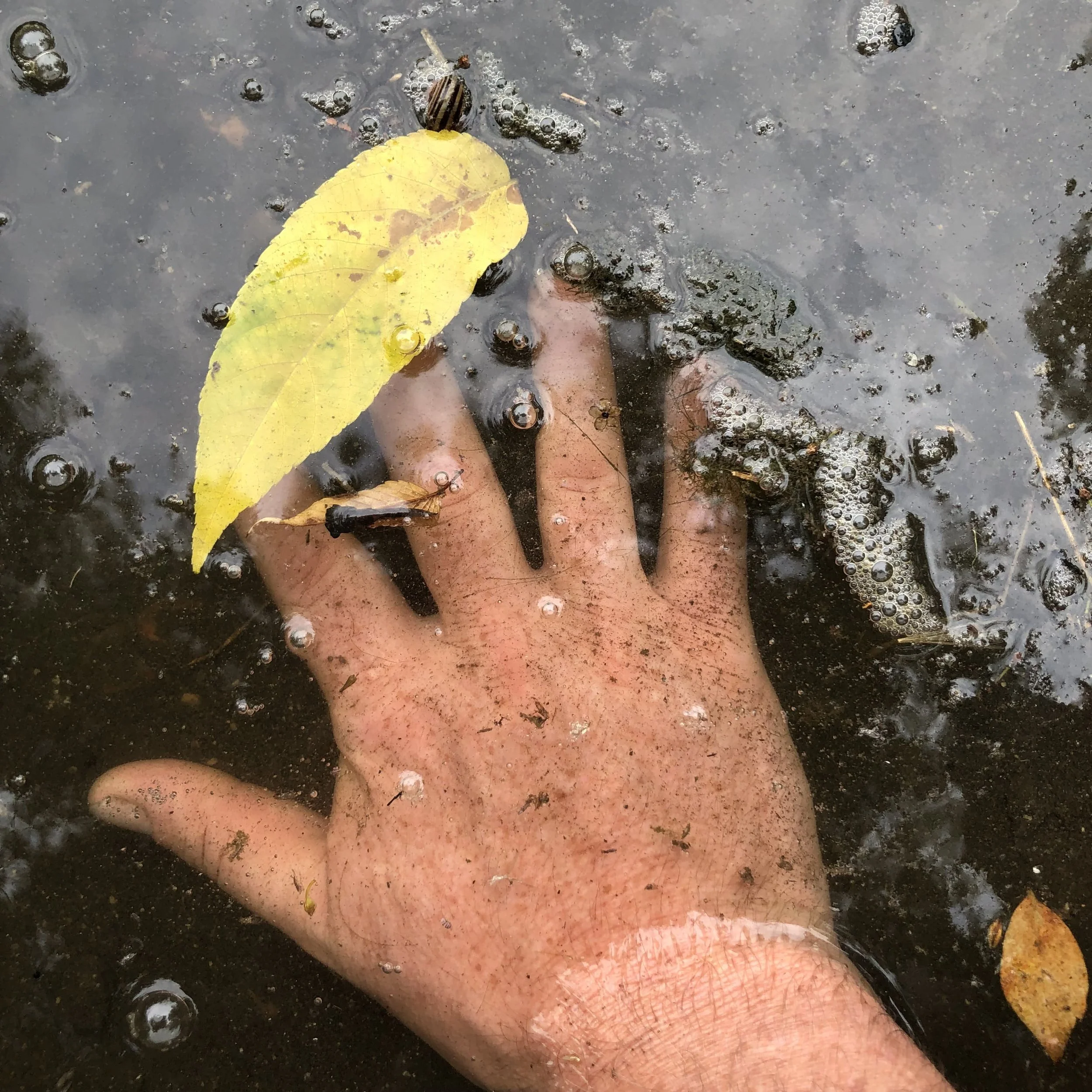 Ep. 271 : Sensual Engagement With the Land