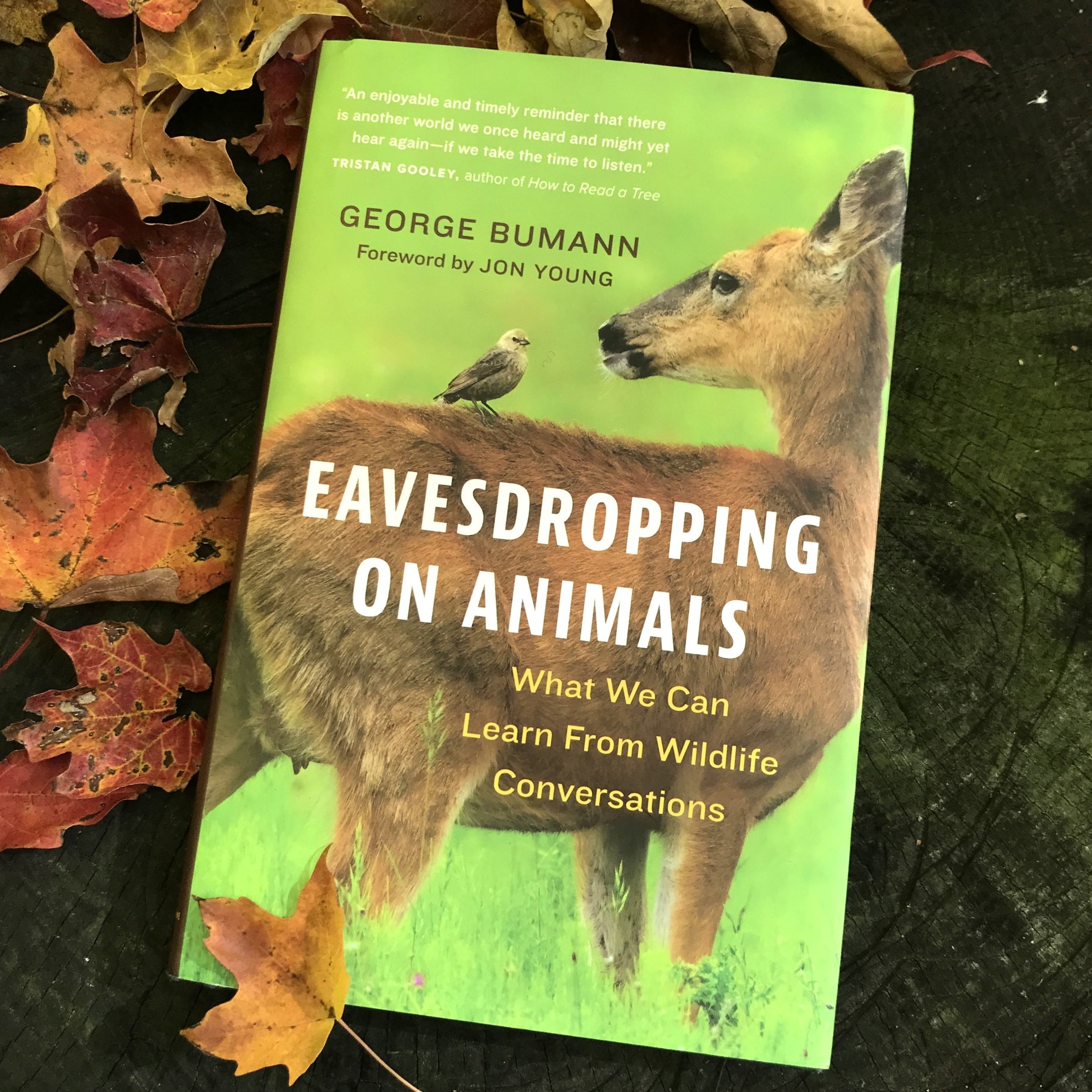 Ep. 254 : Eavesdropping on Animals with George Bumann