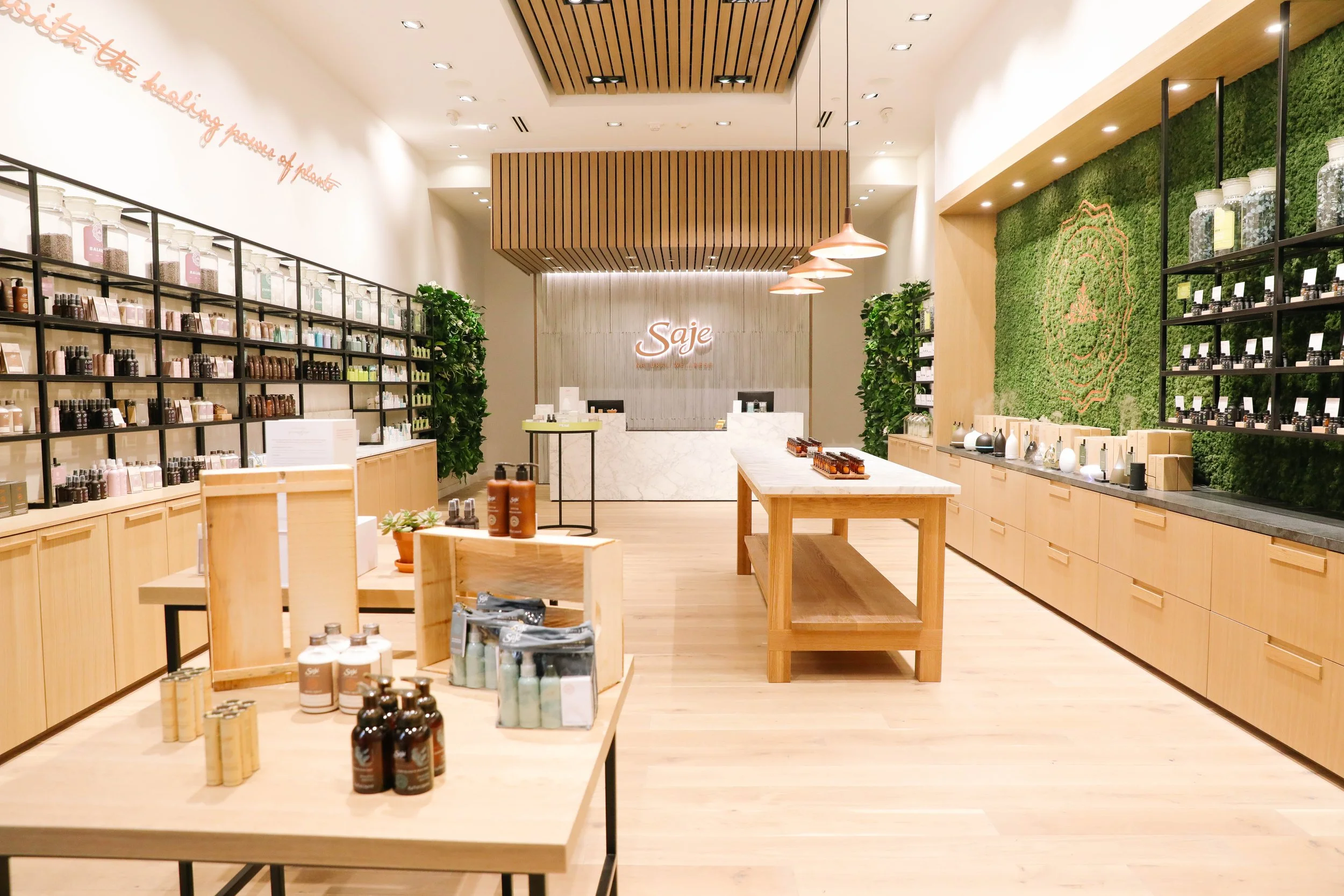 saje natural wellness — EMILY ROBIN DESIGN