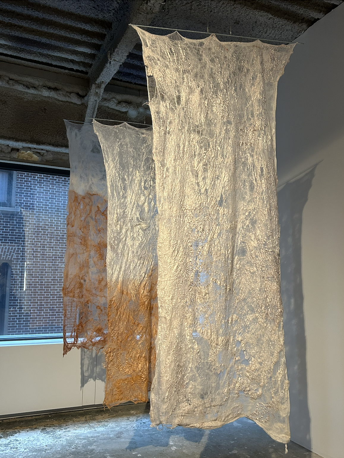KNOT(X), 2024, Natural Fibers, Oil, and Ash Transformed Over Time by Chemical Interactions Activated by the Sun.