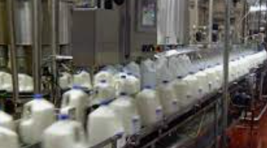 MILK PROCESSING (NZ)