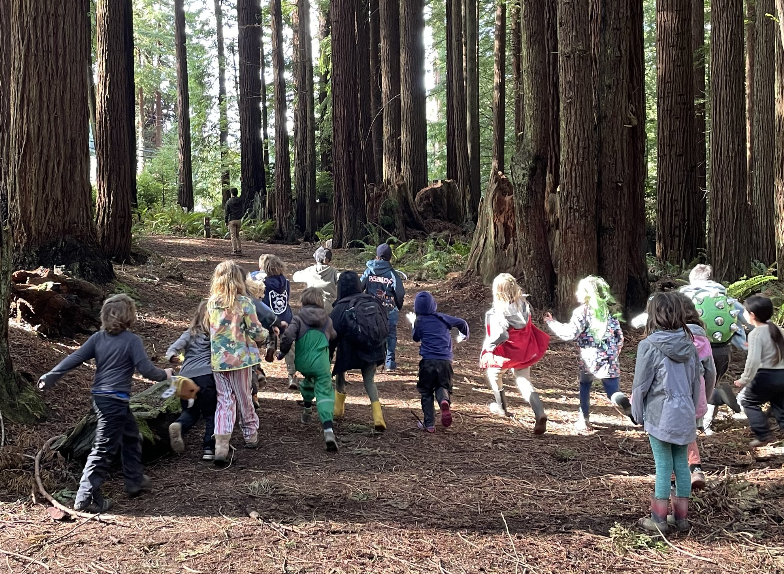 Screenshot 2024-06-17 at 12.10.41 PM.png