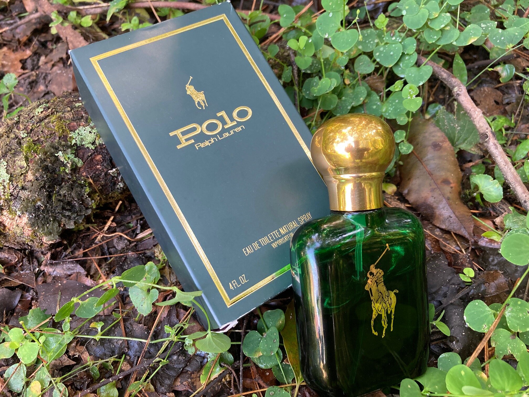 Polo Ralph Lauren cologne - a fragrance for men 1978