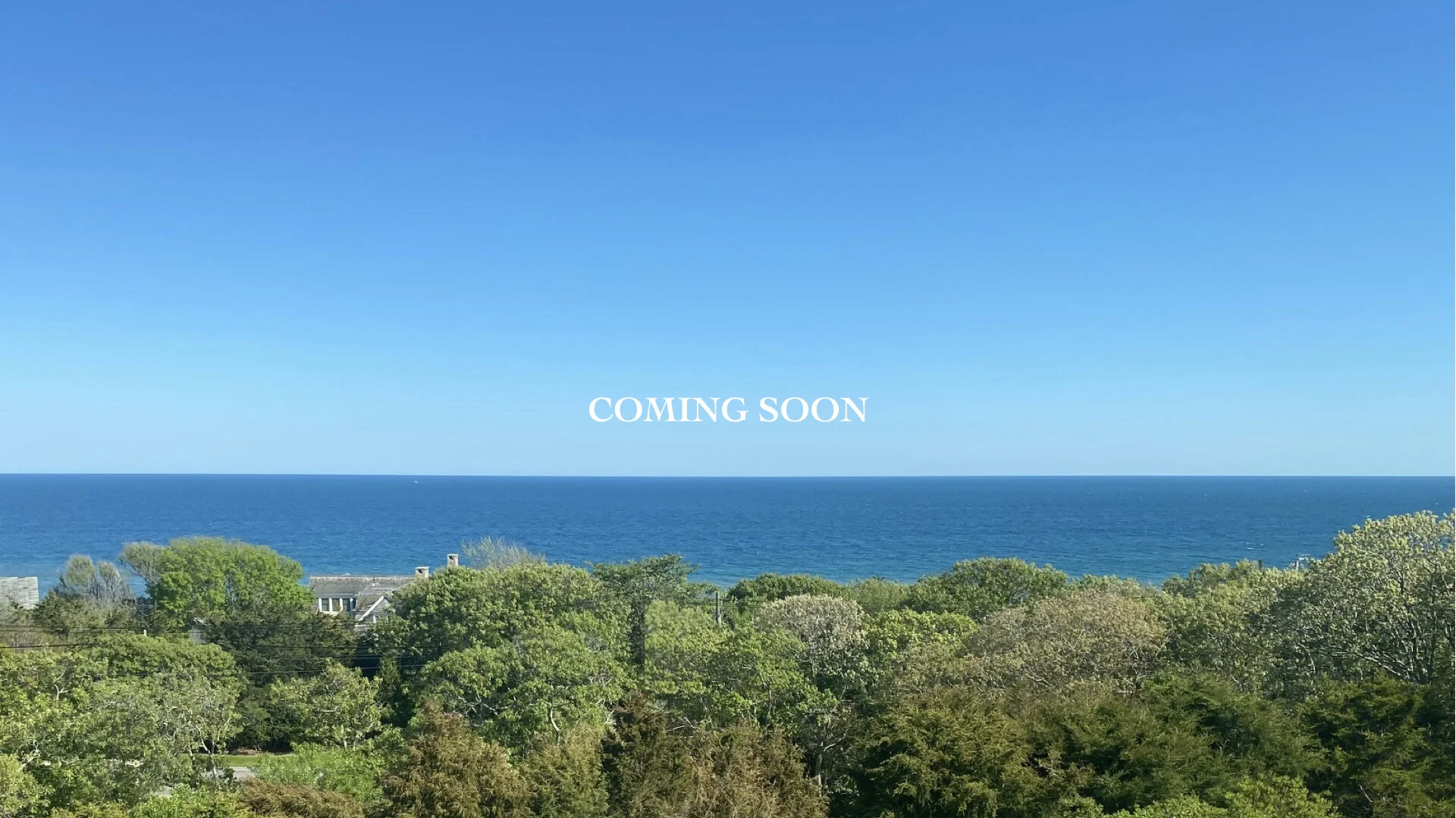 221 OMH VISTA_FOR WEBSITE.001.jpeg