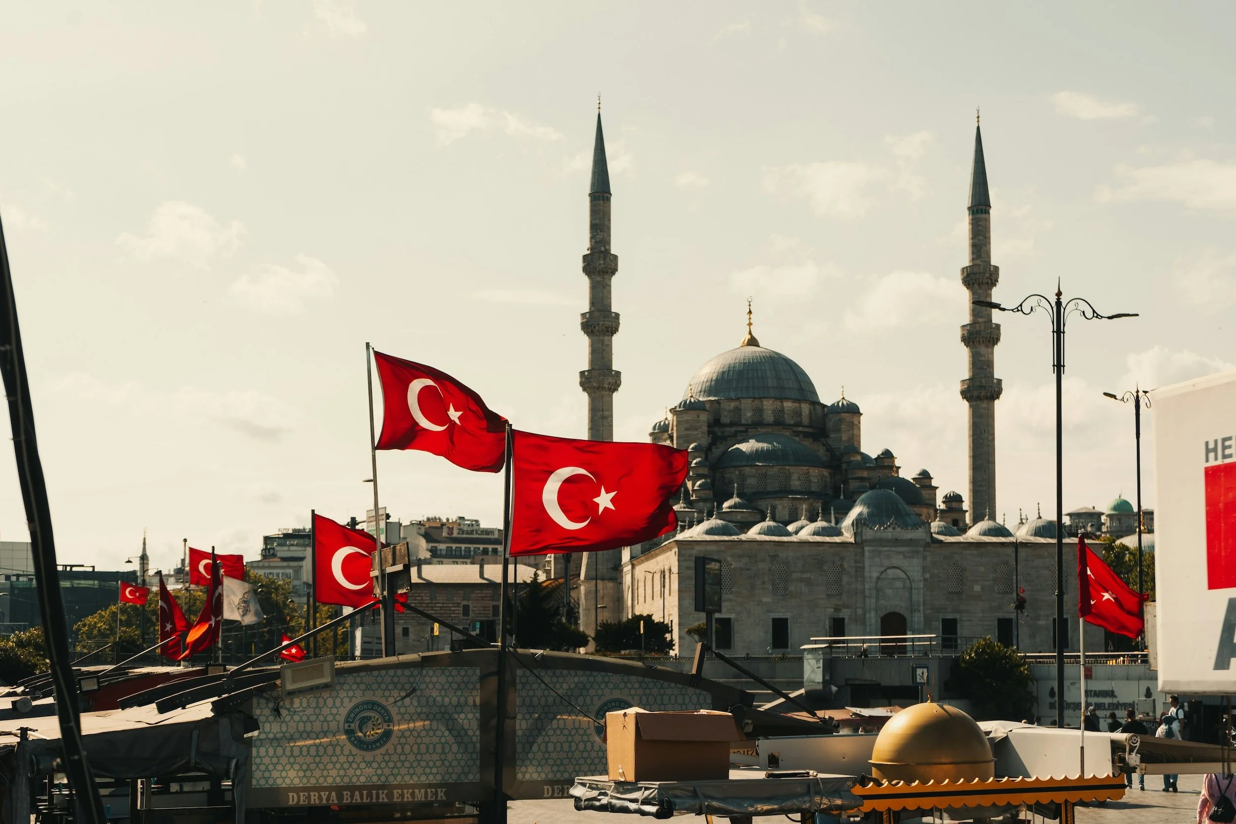 Turkey 1.jpg