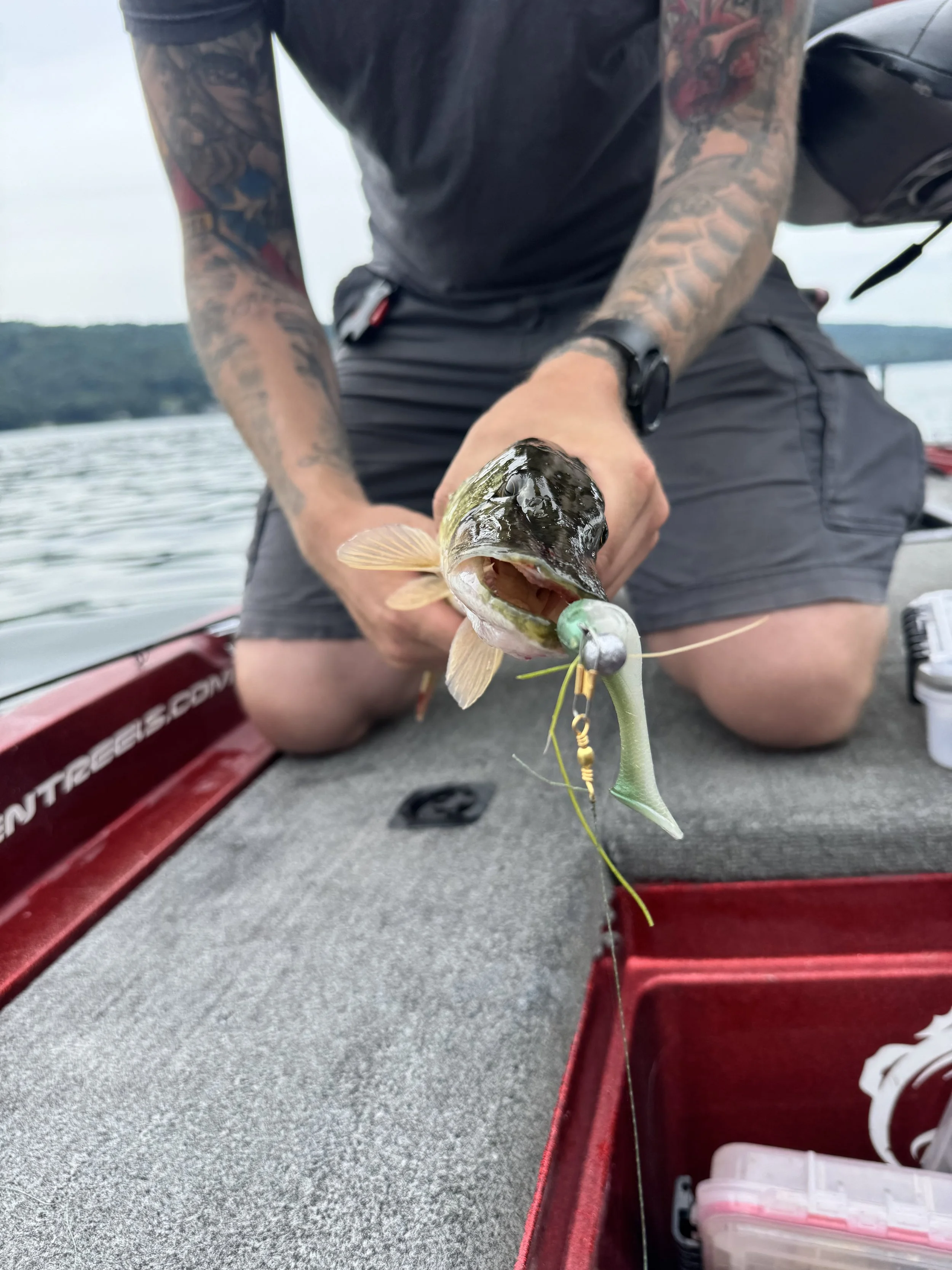 Person on a boat holding a largemouth bass fish with a fishing lure in its mouth.