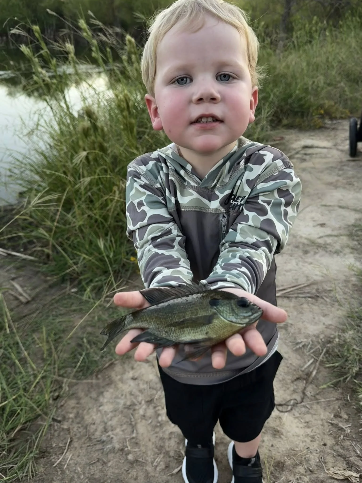 Young boy holding a fish outdoors near grassy area by water, wearing camouflage and black shorts.