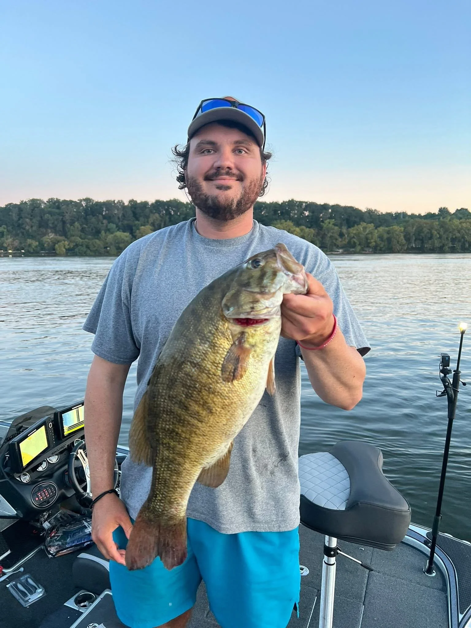 A man with a beard and a gray T-shirt, wearing sunglasses on his head, is smiling and holding a large fish with a greenish-brown body and dark markings, on a boat in a calm body of water with trees in the background during dusk.