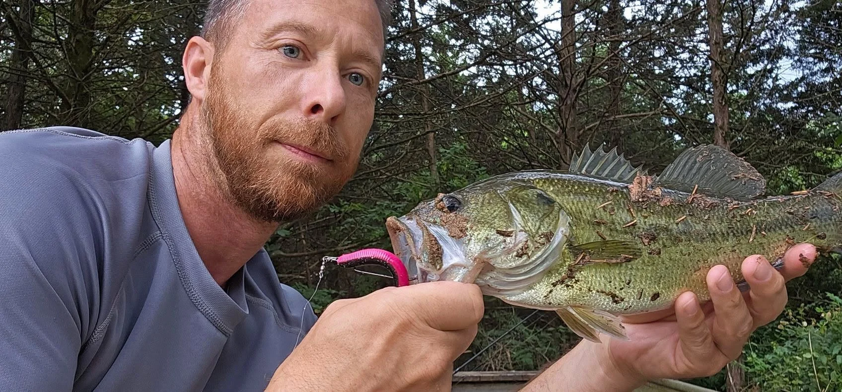 A man with a beard and wearing a gray shirt holds a large fish with green and black scales and a pink lure attached to its mouth, standing outdoors near trees.