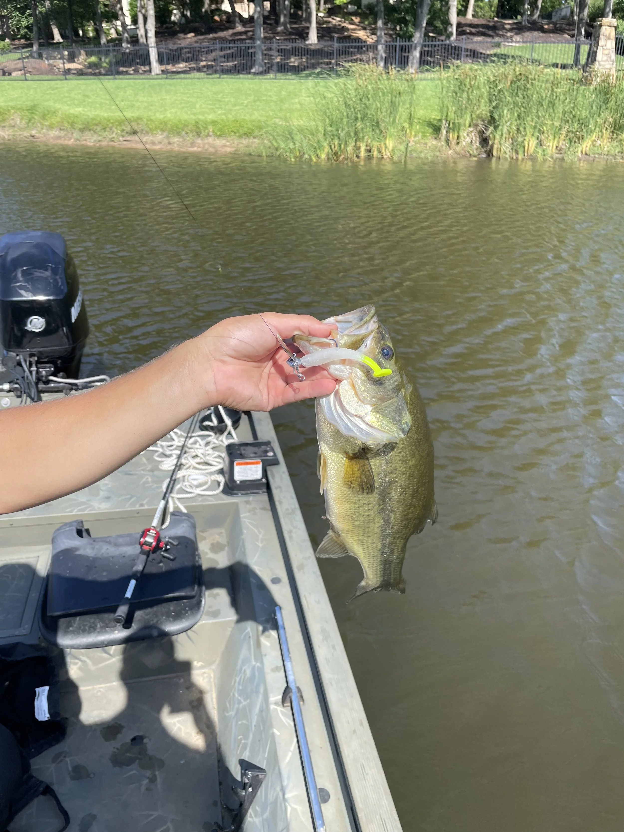 Person holding a caught fish on a fishing boat