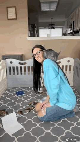 video.gif