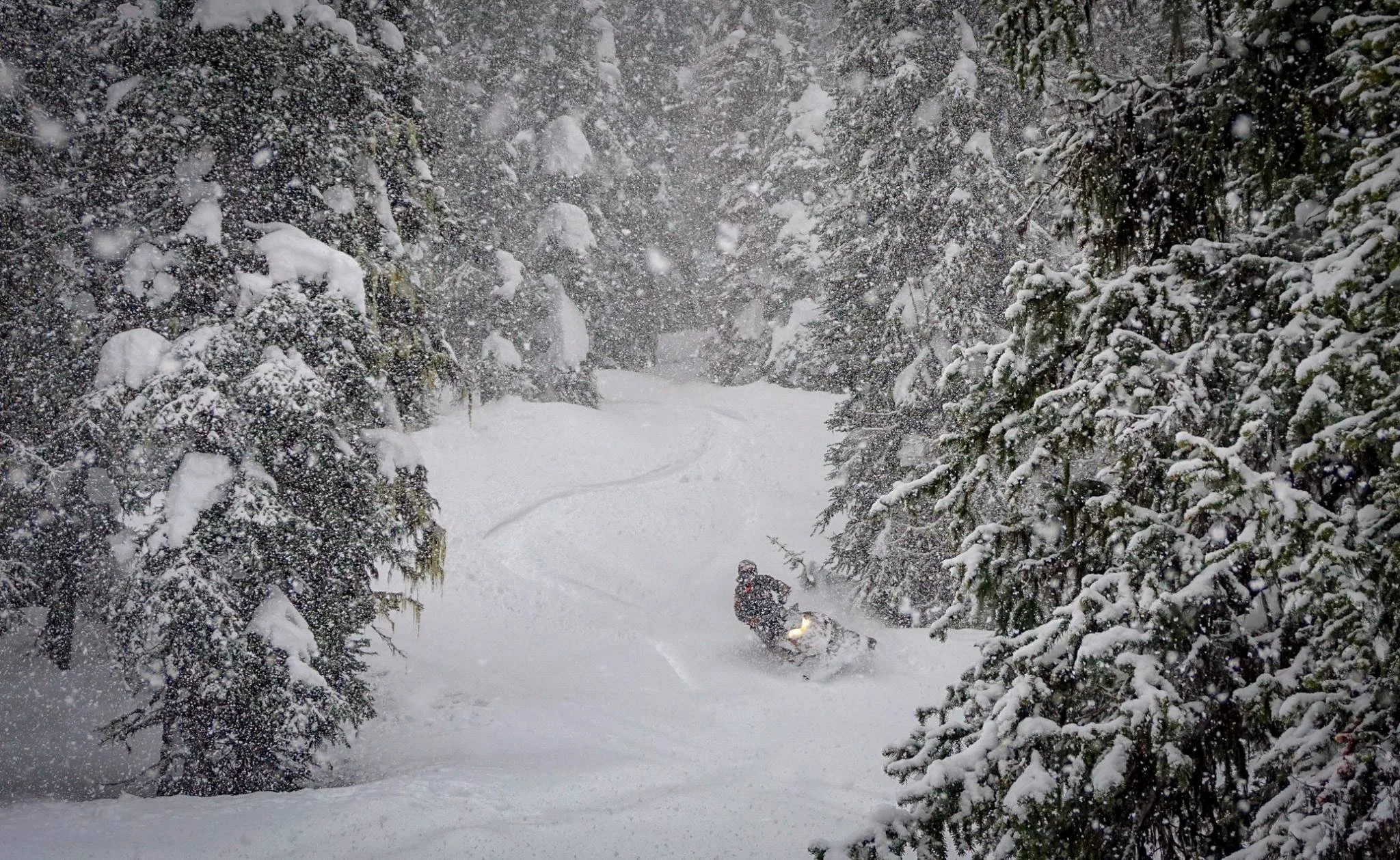 In case you haven't heard... WINTER'S BACK, BABY! ❄️🔥

Fernie just got buried under 65cm of fresh snow this week&mdash;and it&rsquo;s still coming down. 😍

With temps hitting serious deep-freeze levels, we&rsquo;re pressing pause on guided days and