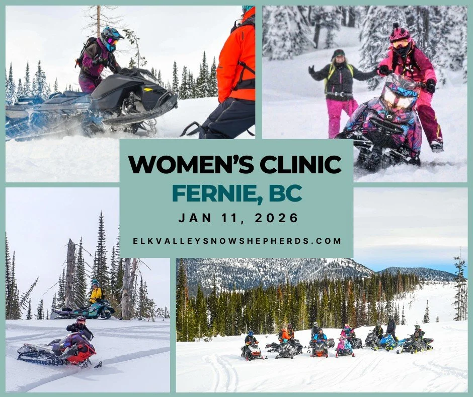 Ladies &mdash; we&rsquo;ve got 3 spots left in our Intermediate Women&rsquo;s Clinic in Fernie, BC  this Sunday Jan 11th, 2026! 👀 If you&rsquo;ve been thinking about it, this is your sign to squeeze in.

👉 Register online: elkvalleysnowshepherds.co
