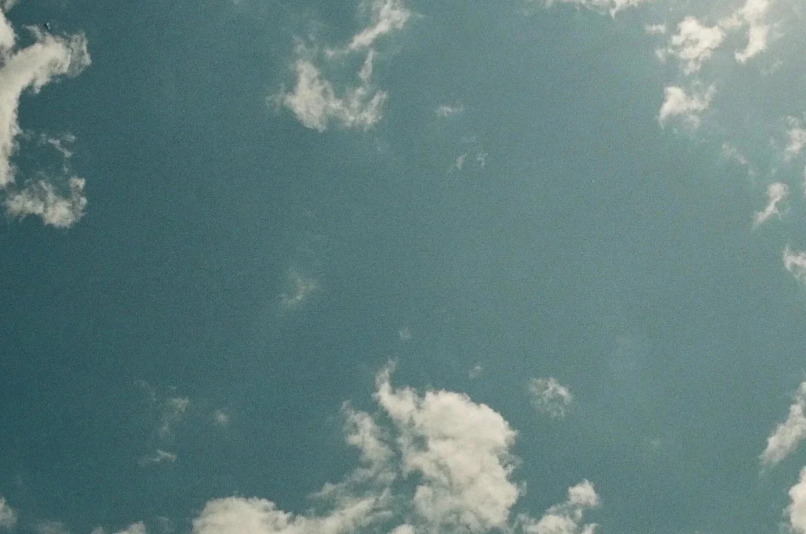 Richmond Virginia Film Photographer Cat McCarthy