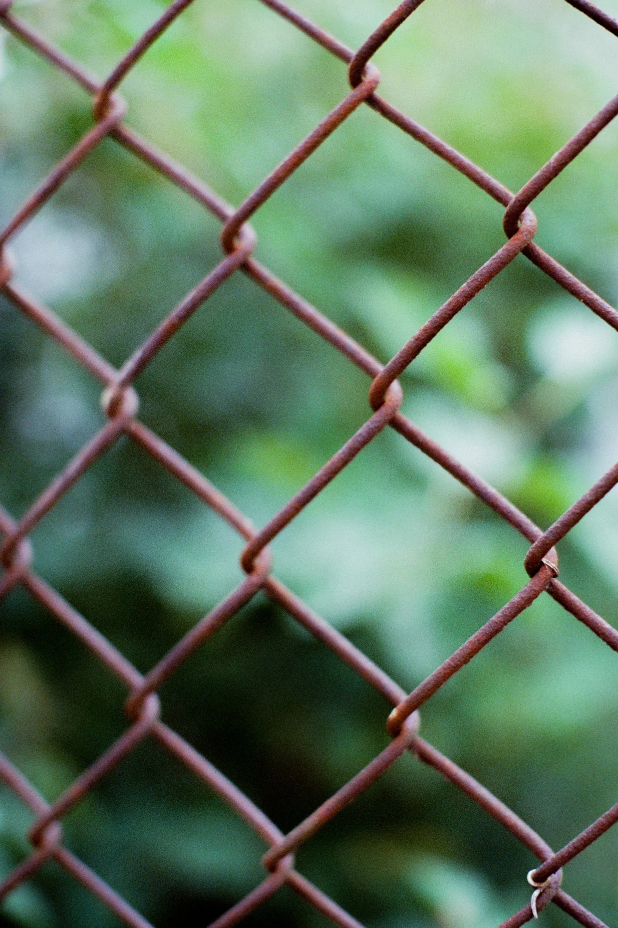 35mmfilm-20.jpg