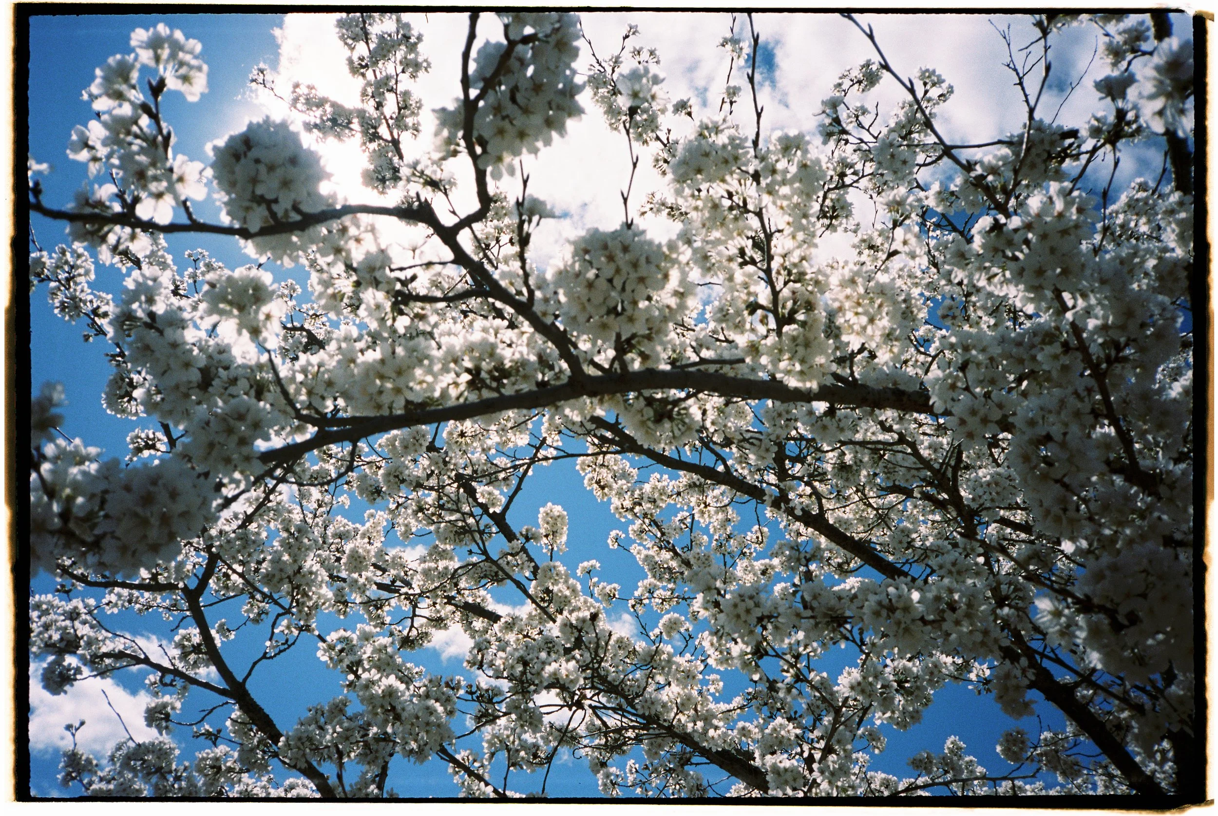 film-26.jpg