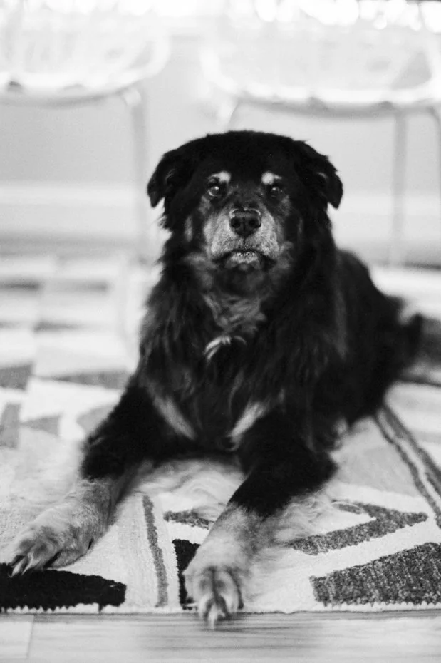 35mmfilm.jpg