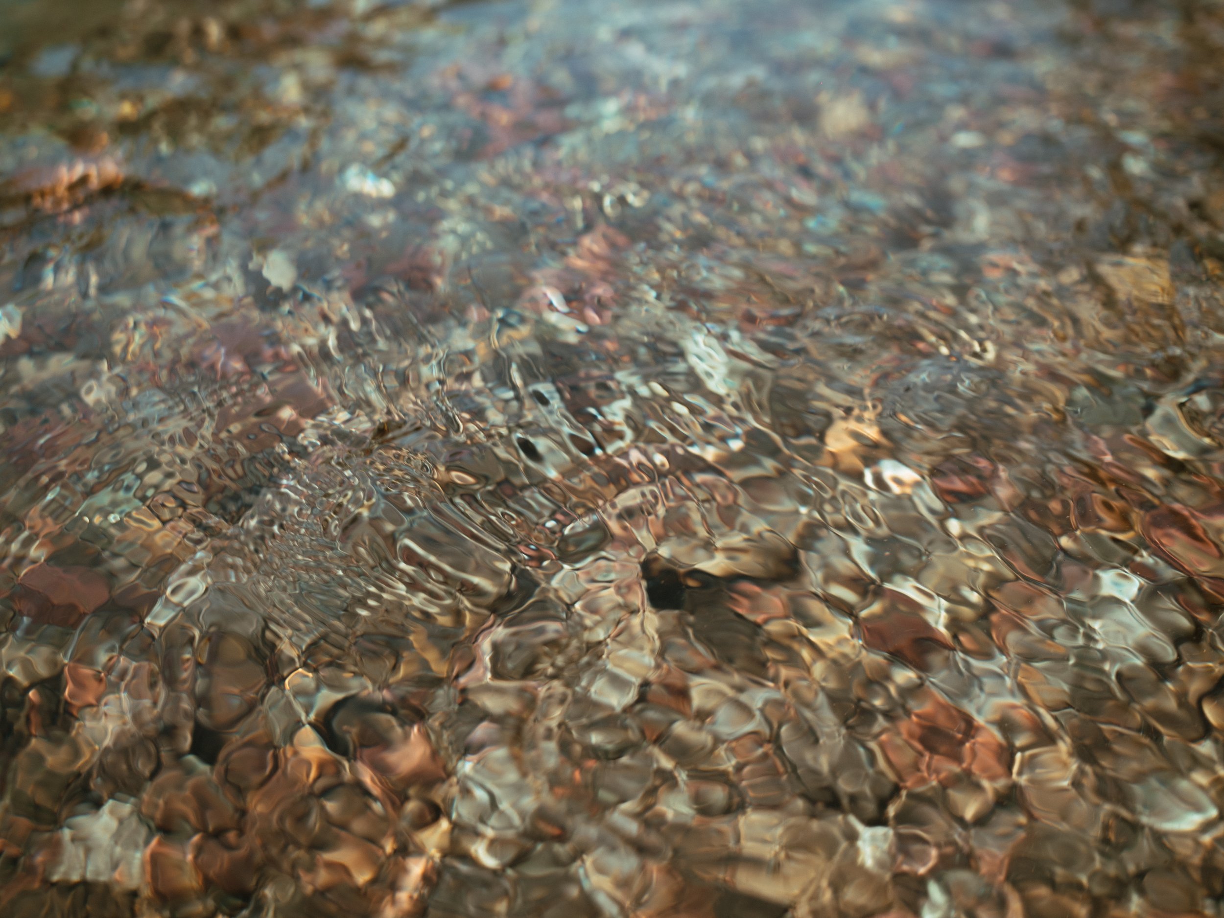 Richmond Virginia Photographer Videographer