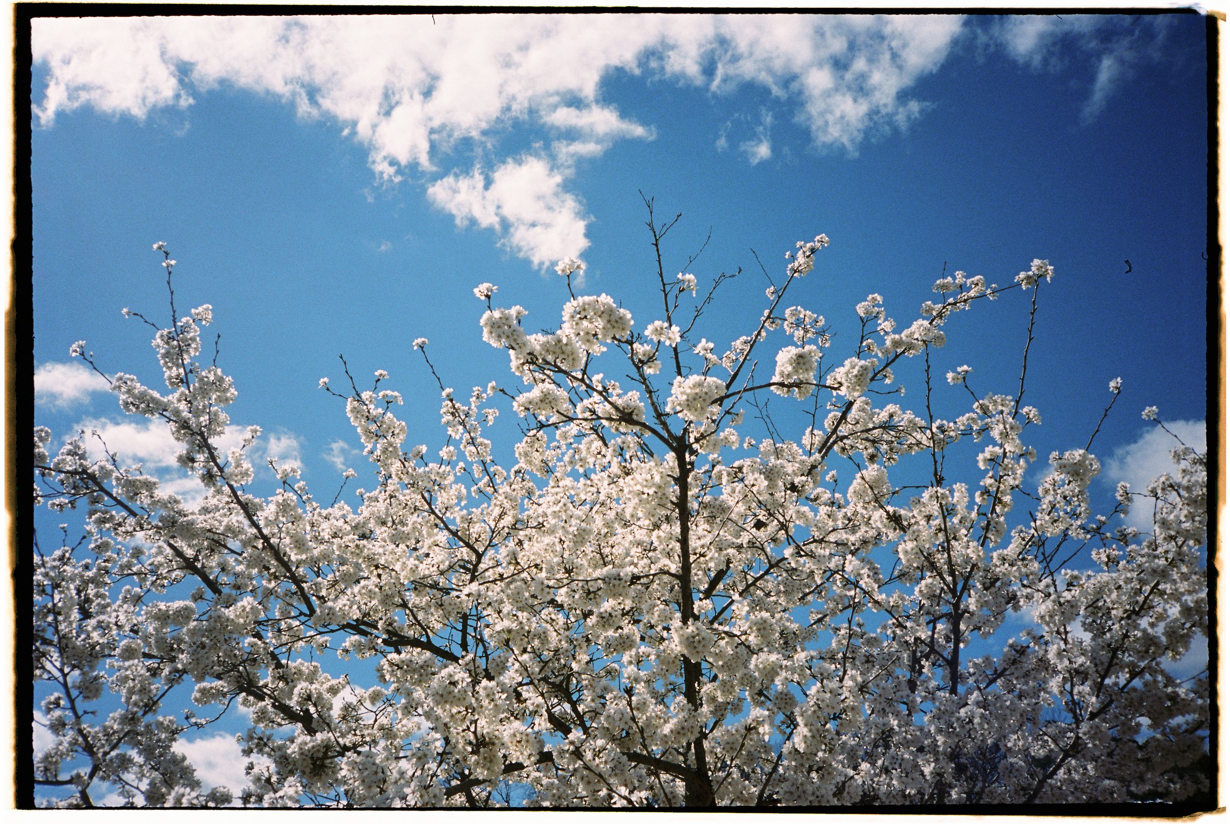 film-24.jpg