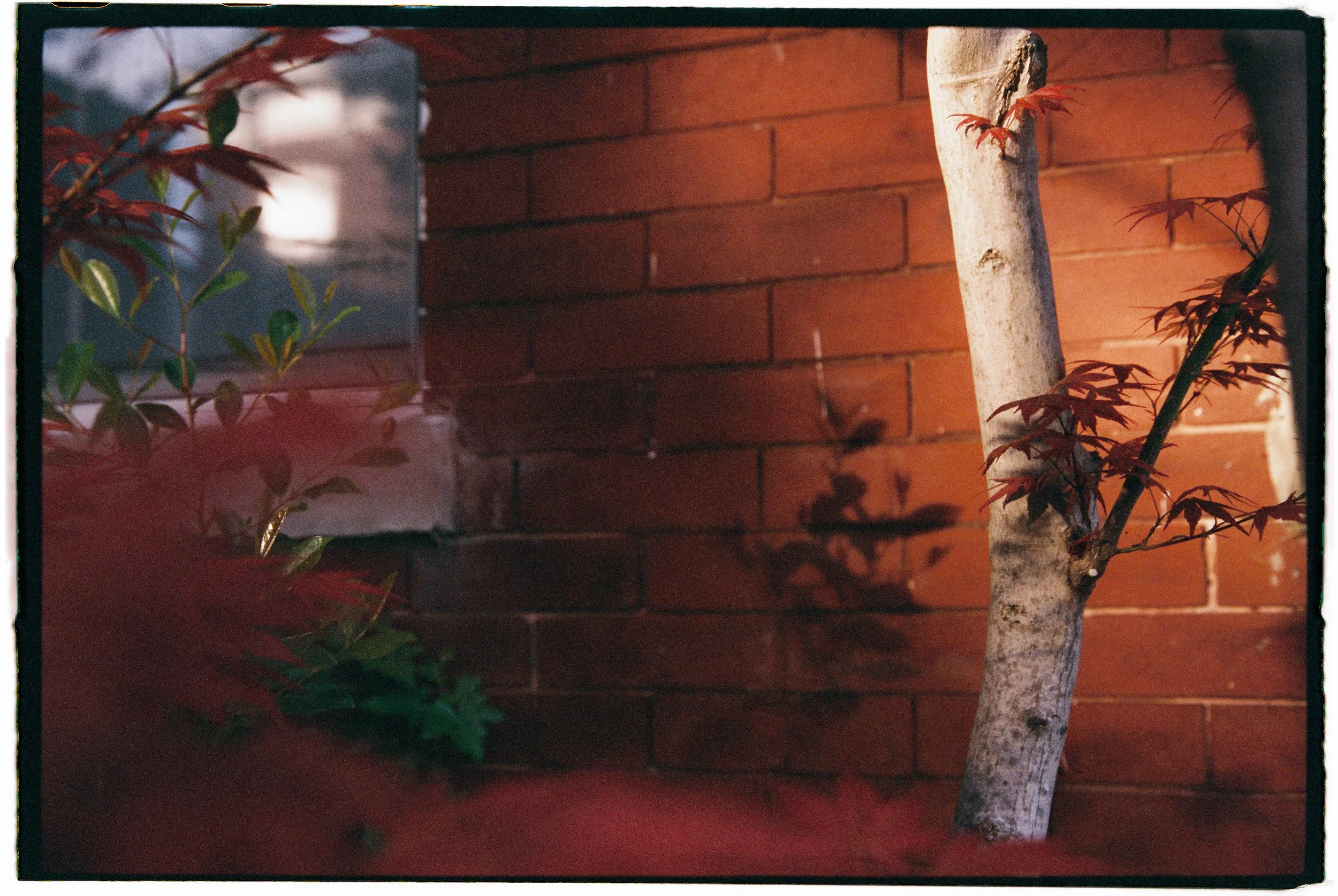 film2-17.jpg