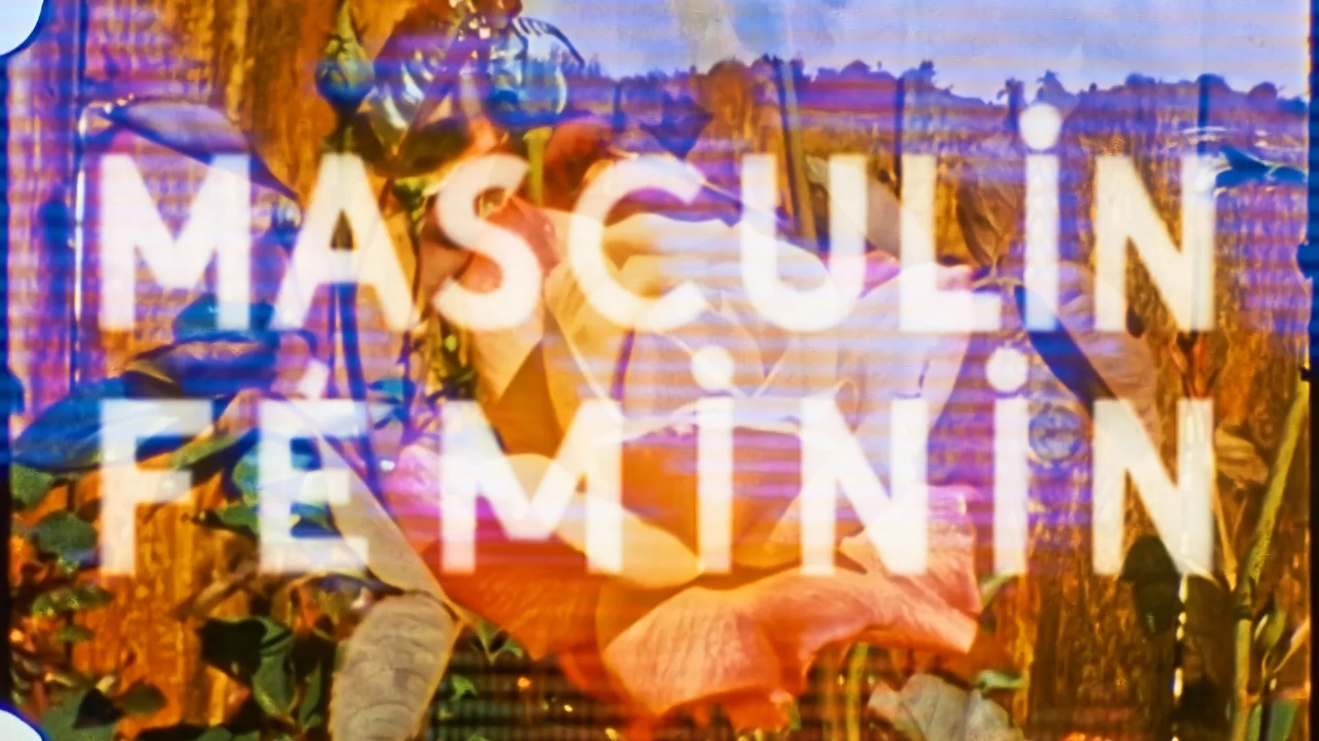 Richmond Virginia Music Video Band Photographer RVA Videographer Aesthetic Vibey