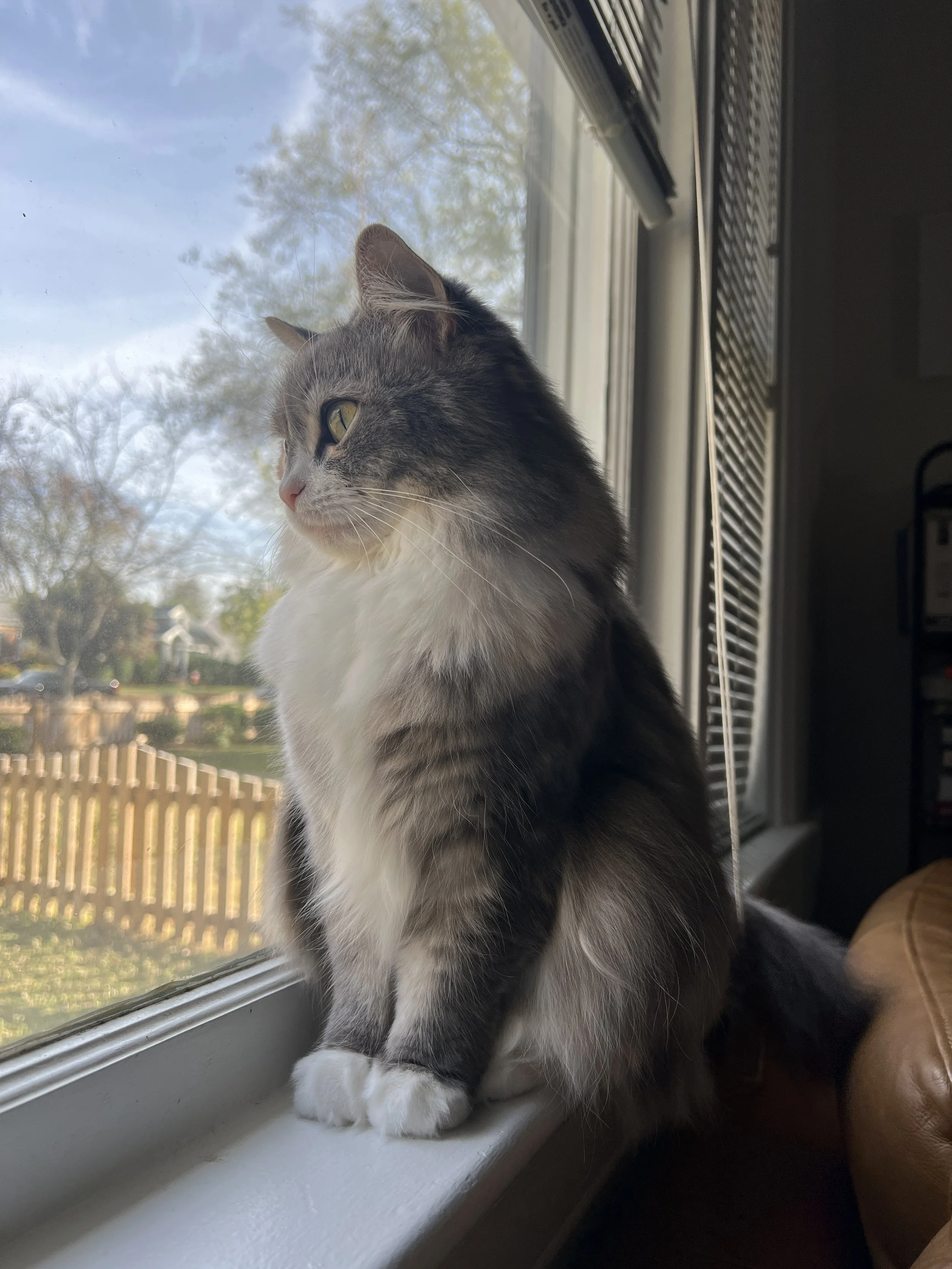 Richmond Virginia RVA DMV Videography Photography Producing Promotional Work Content Creation Creative Film Super 8