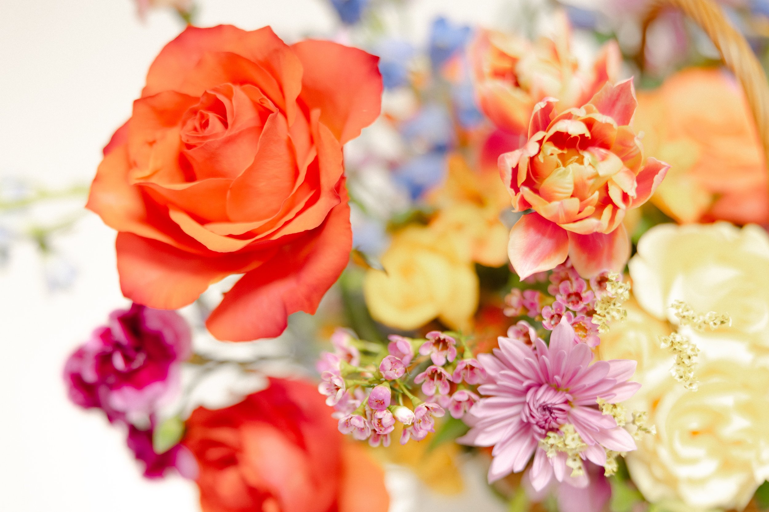 Richmond Virginia Brand and Product Photography