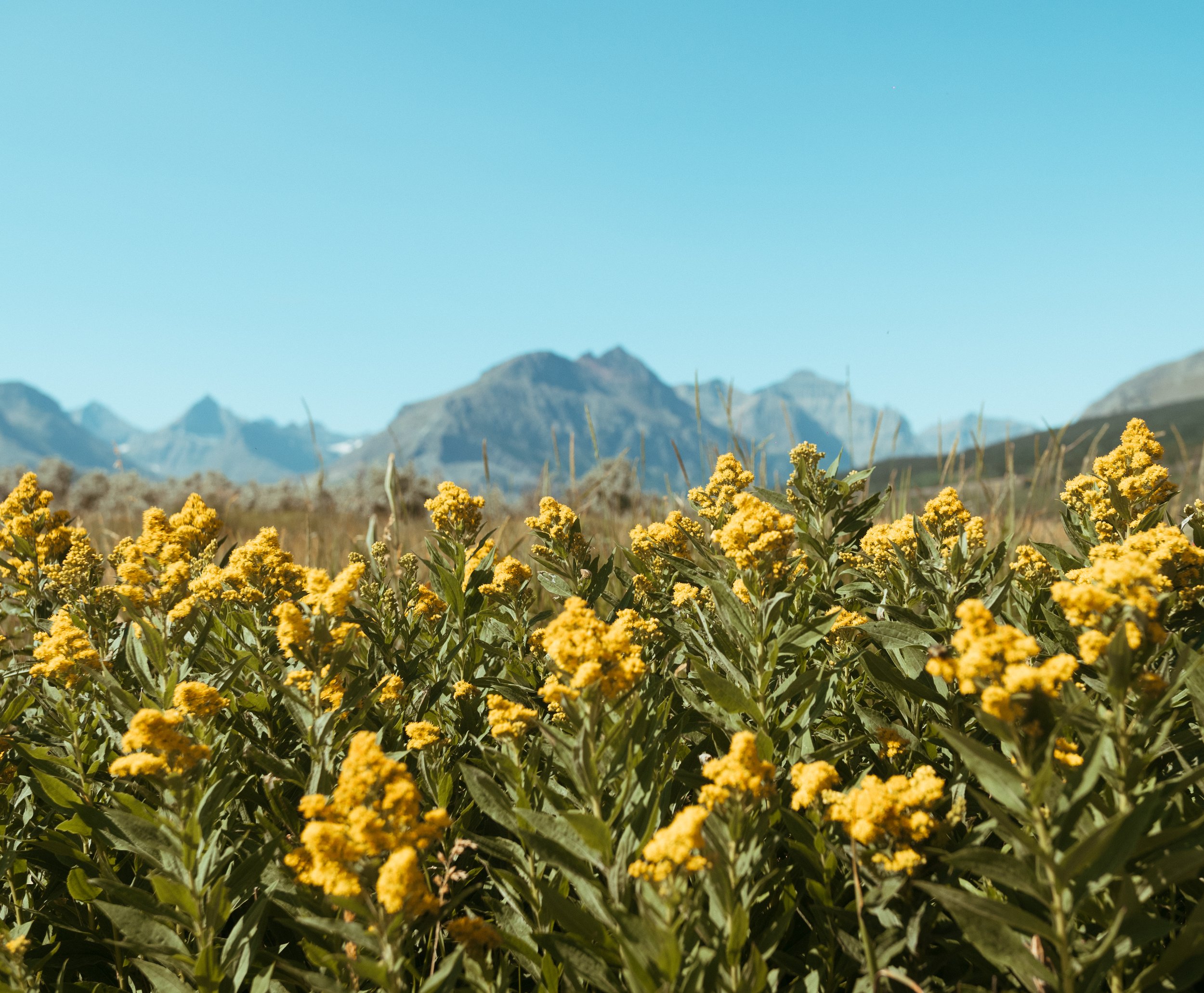 Richmond Virginia Photographer Videographer