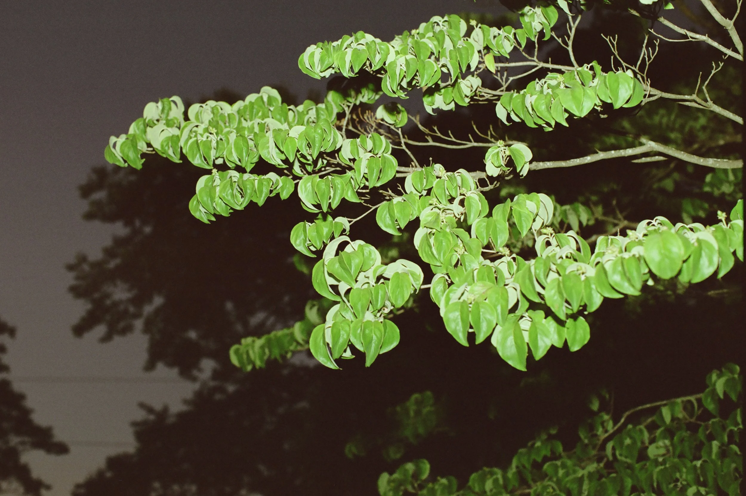 118022010023-2.jpg