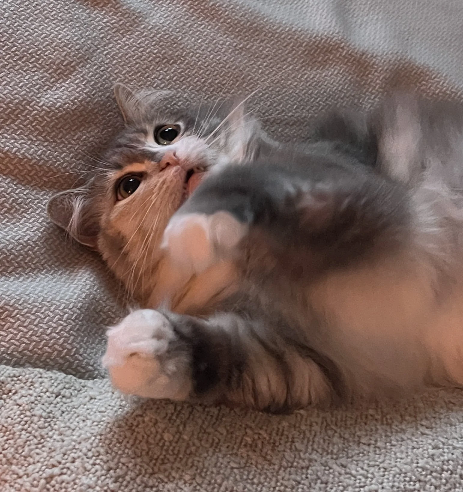 Richmond Virginia RVA DMV Videography Photography Producing Promotional Work Content Creation Creative Film Super 8