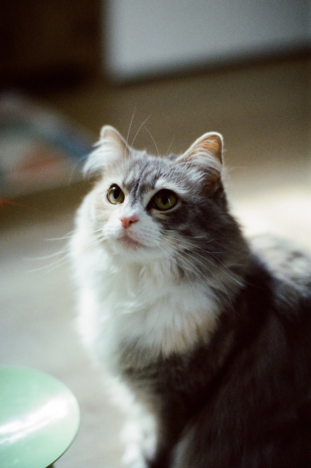 35mmfilm-13.jpg