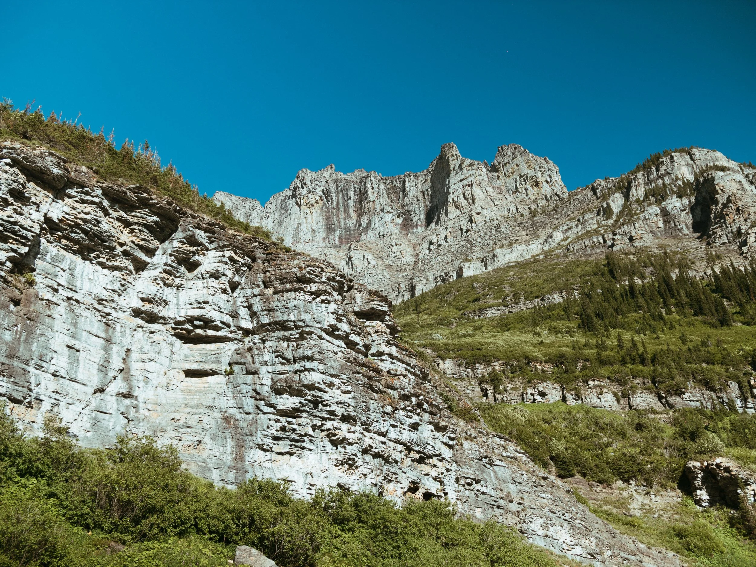 Richmond Virginia Documentary Videographer Photographer