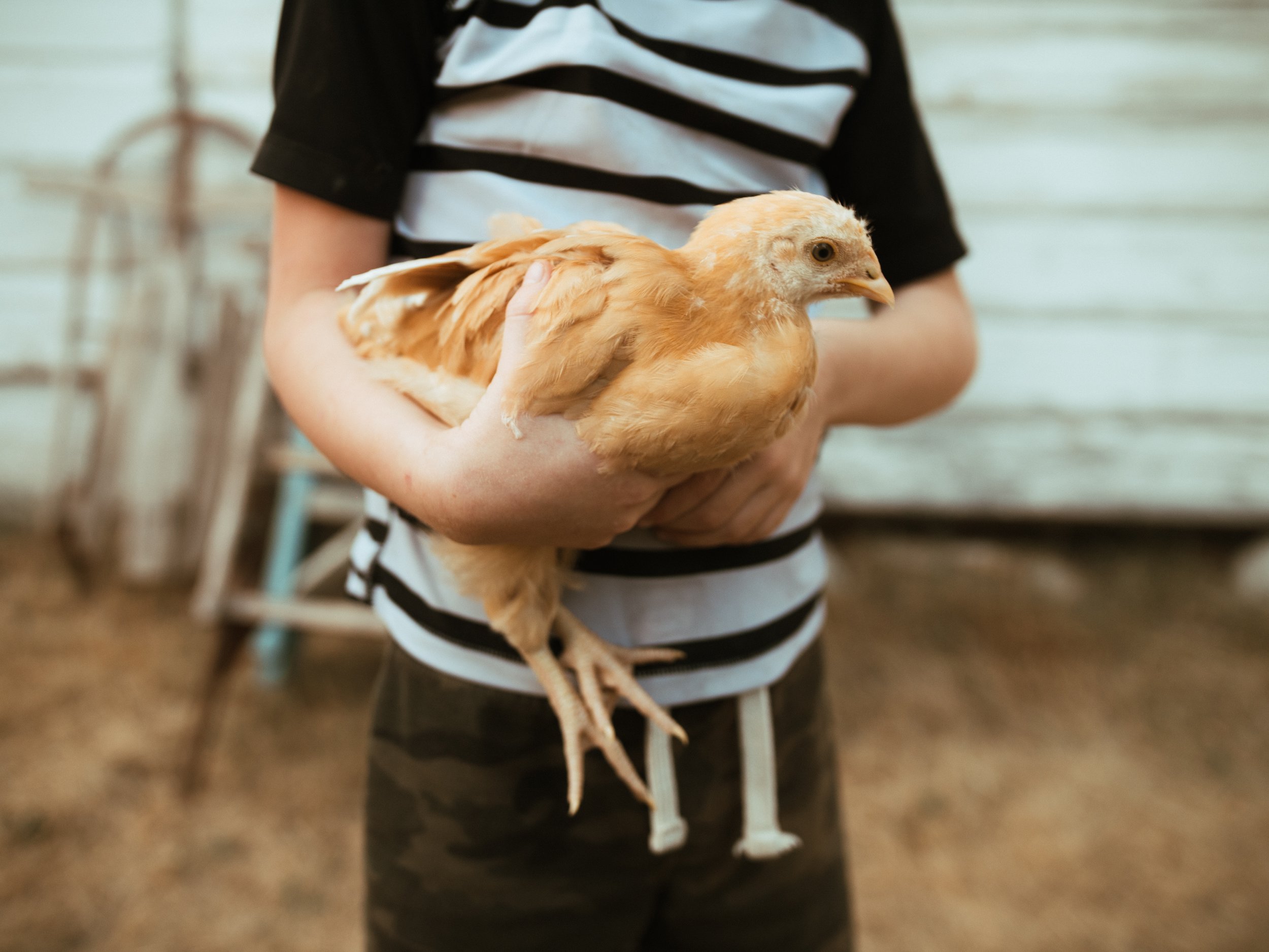 Richmond Virginia Photographer Videographer