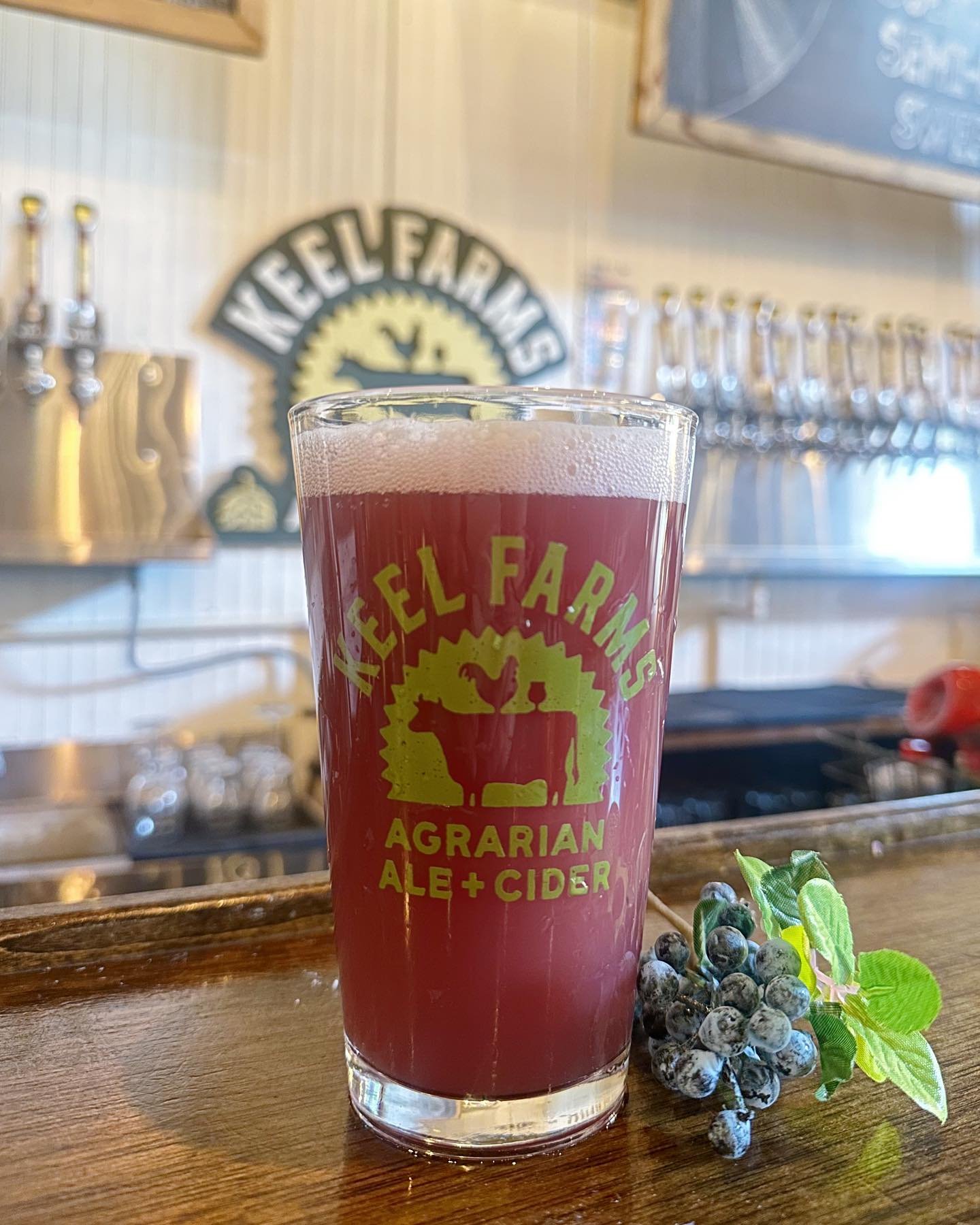 ‼️Blueberry Alert‼️ Our limited edition, Blueberry Muffin Beer is on tap this weekend at Blueberry Festival! 🌿✨ Join us this weekend from 10-3 so you don&rsquo;t miss out on this special treat!🫐🍺