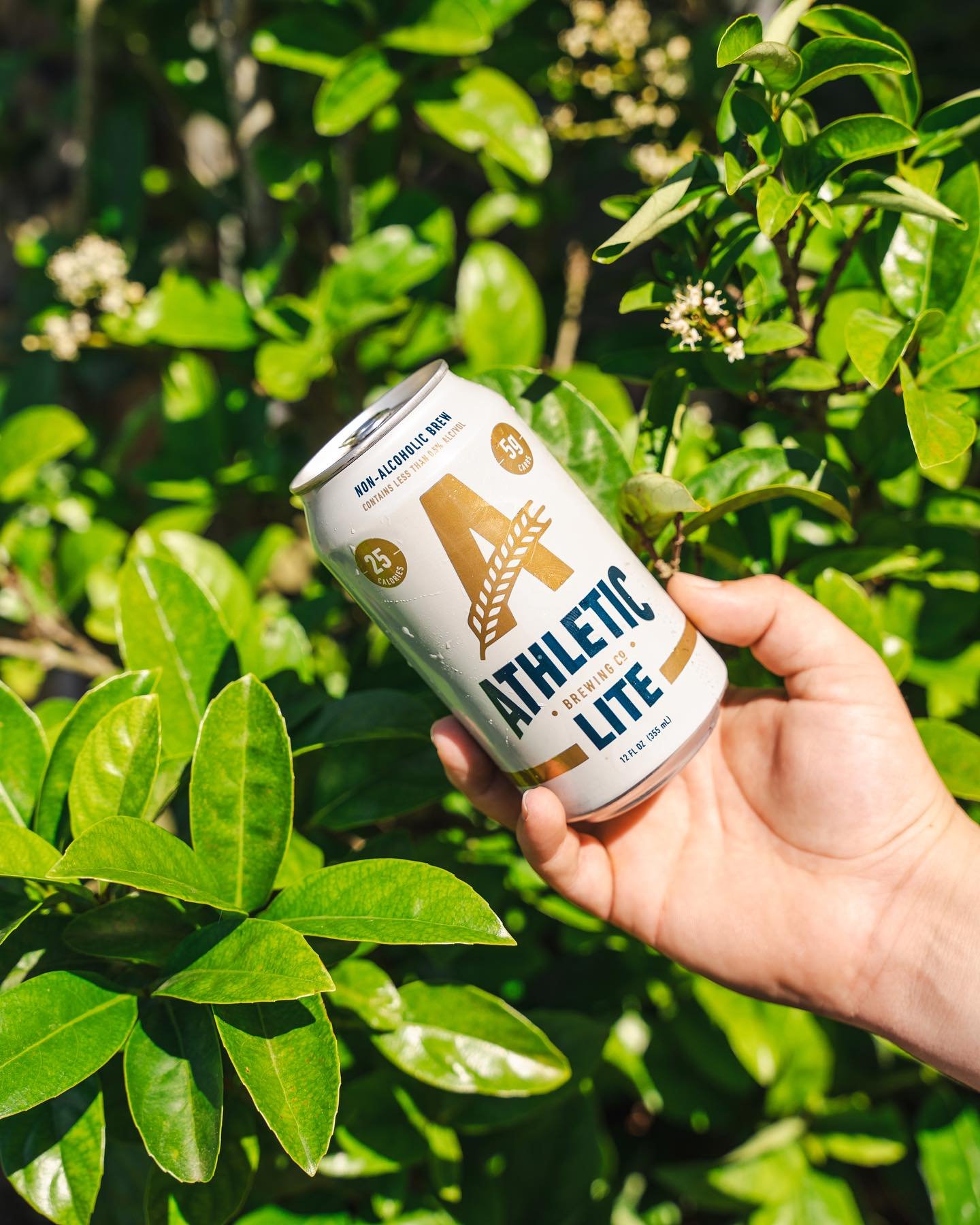 🍻 Here&rsquo;s to more choices at Keel Farms! We&rsquo;re excited to offer non-alcoholic beers from @athleticbrewing , featuring an IPA for hop lovers and a Lite beer for those who appreciate a smoother sip. Perfect for enjoying the brewery vibe wit