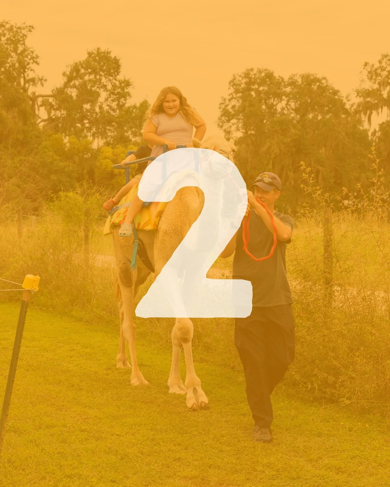 2 days until you can ride a camel and meet adorable animals at our petting zoo. 🧡

🗓️Saturdays &amp; Sundays in October from 10AM&ndash;3PM | Free admission, $10 parking.