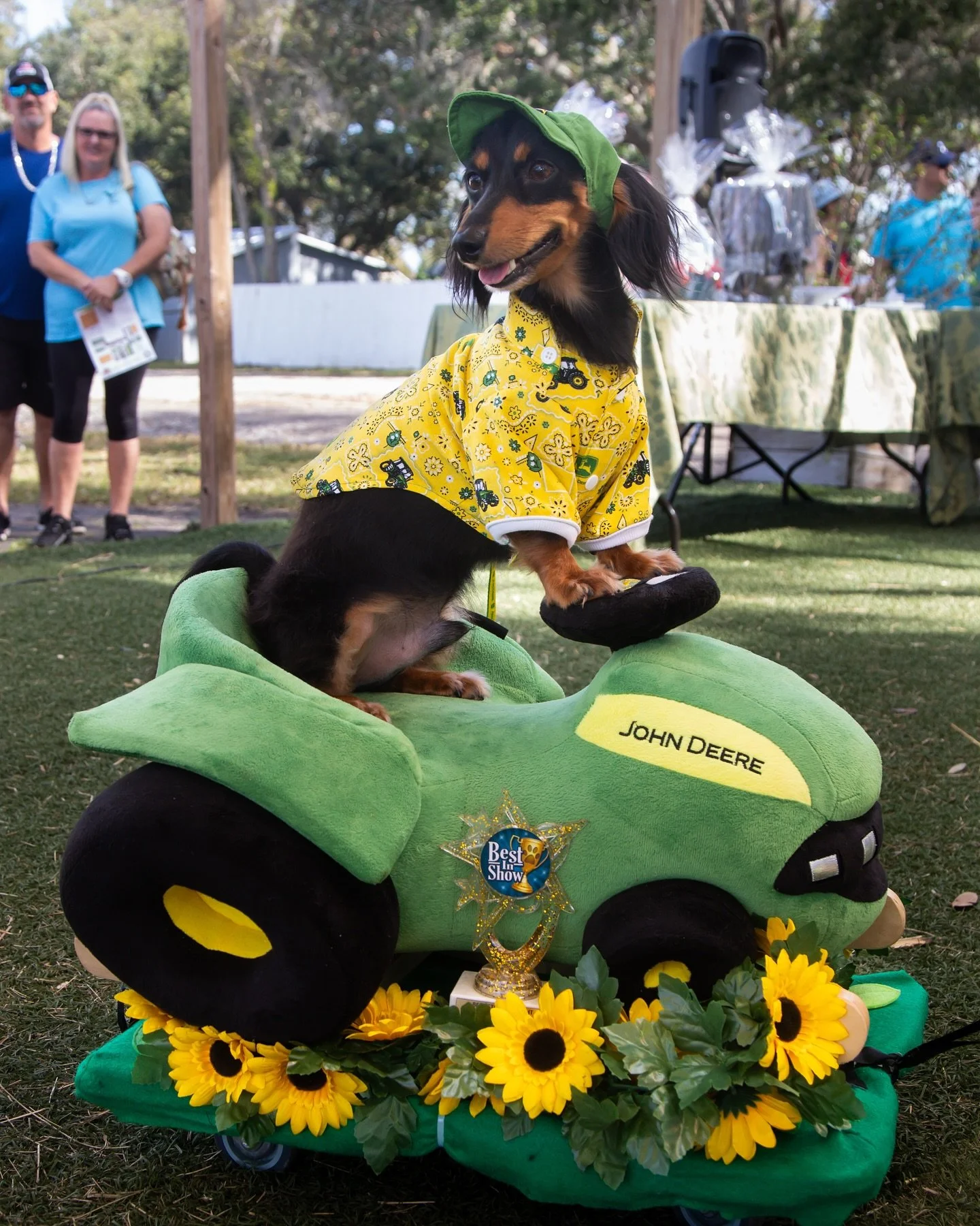 We&rsquo;re teaming up with @daretorescue again for this year&rsquo;s Doxapalooza on November 1st from 10&ndash;3, and it&rsquo;s going to be a tail-waggin&rsquo; good time! 🐾

Free admission, free parking, and all dogs are welcome, even if they&rsq