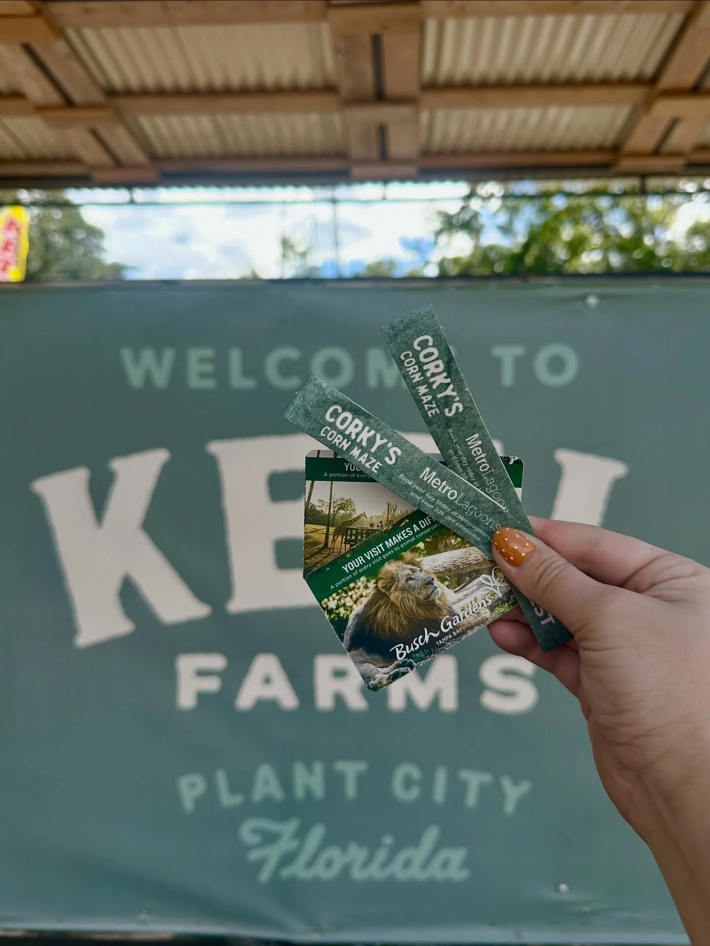 New month, new savings! 🎉 If you&rsquo;re an Annual Pass Member, you&rsquo;re in for a fall treat, get one FREE hayride wristband during our Harvest Days festivals! 🎃
