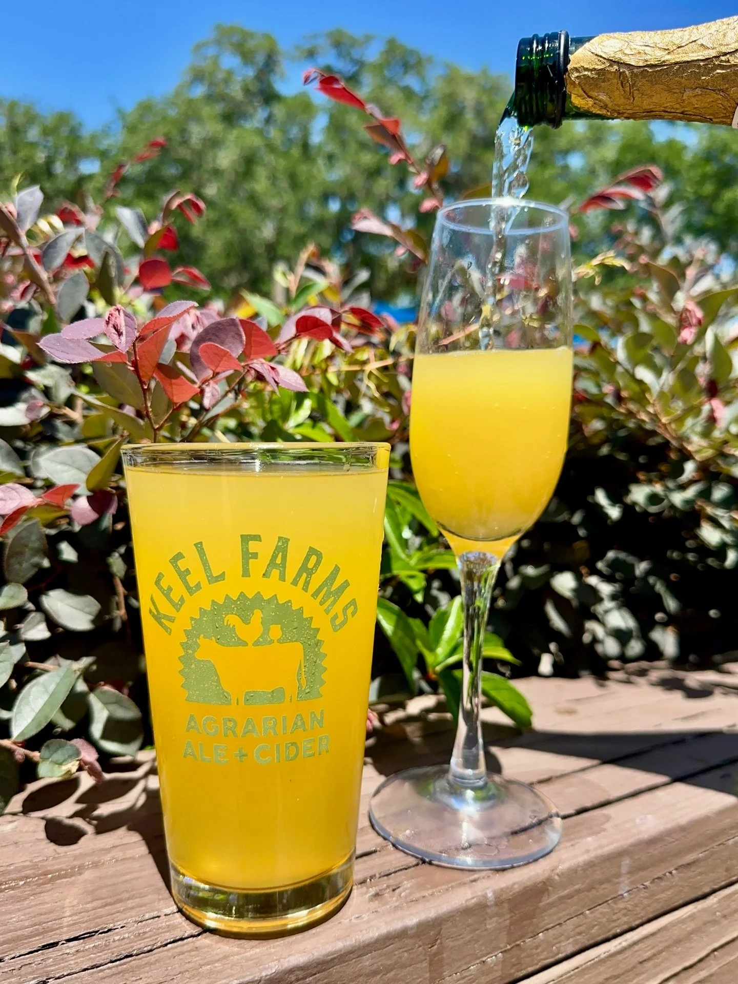 December&rsquo;s Sip &amp; Support is our Mimosa Cider!🥂For every pint ordered, we&rsquo;ll donate $1 to @friendsofjoshuahouse 💛

Drink good, do good. Cheers! 🍻