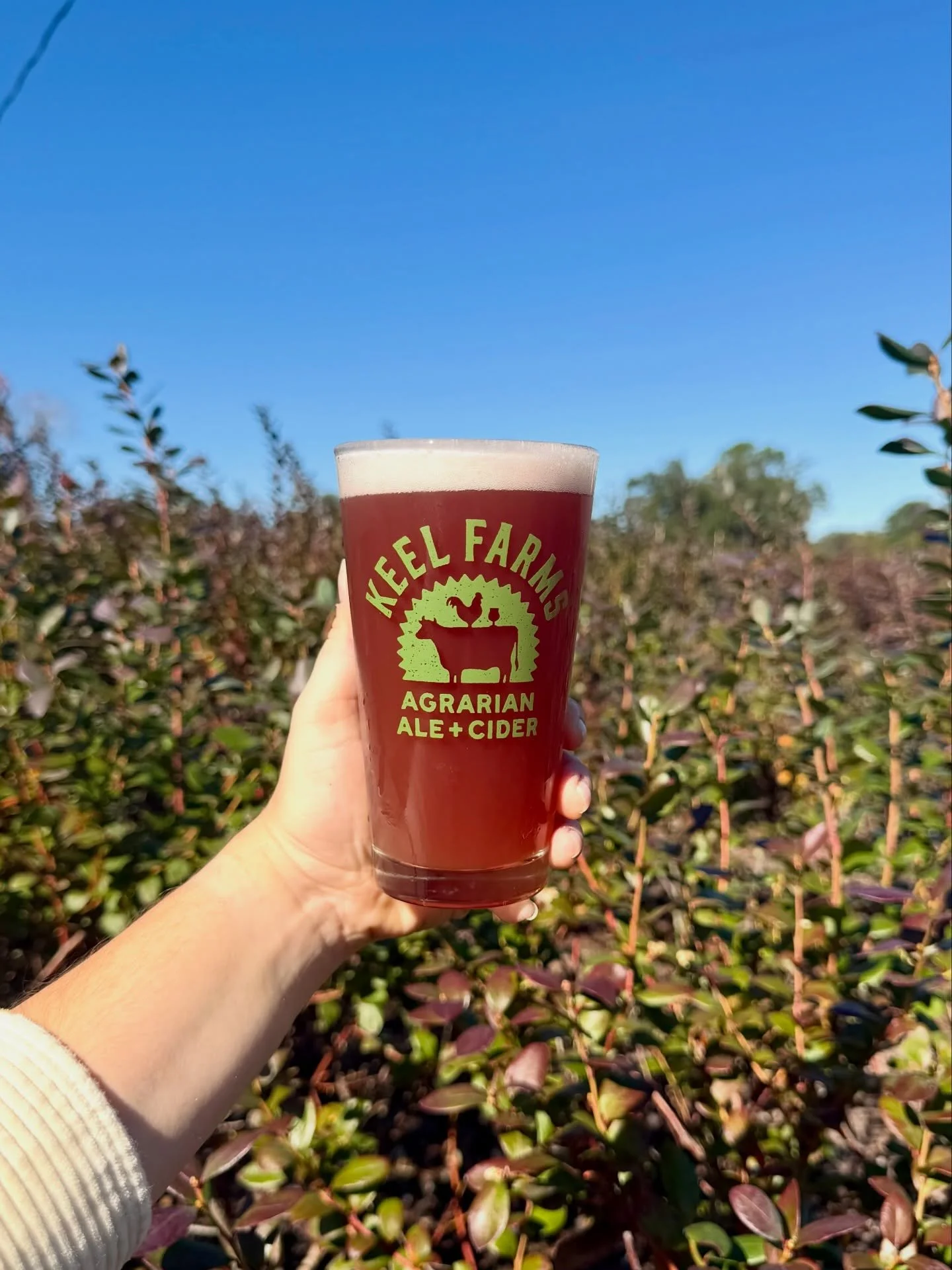 🫐 Keel Farms Agrarian Ale is officially back and big  thanks to our friends at @tbbco ! Fields of Blue is a light and crisp blueberry brown ale, now on tap in our Tasting Room.🍺