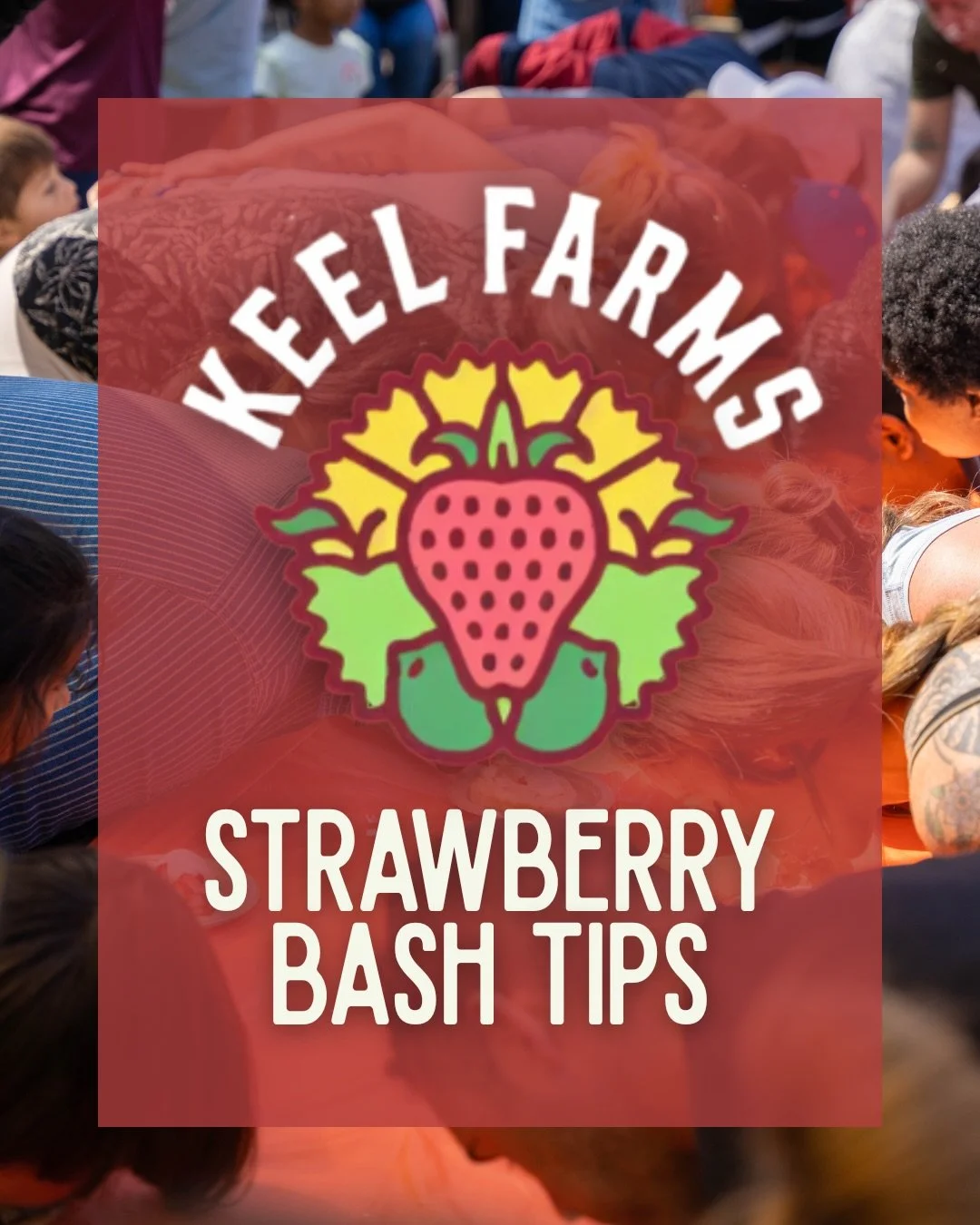 Strawberry Bash is just TWO days away and we can&rsquo;t wait to spend the weekend with you and your families! Here is everything you need to know, now all that&rsquo;s missing is you! 🍓

Join us Saturday &amp; Sunday from 10AM&ndash;3PM for a sweet