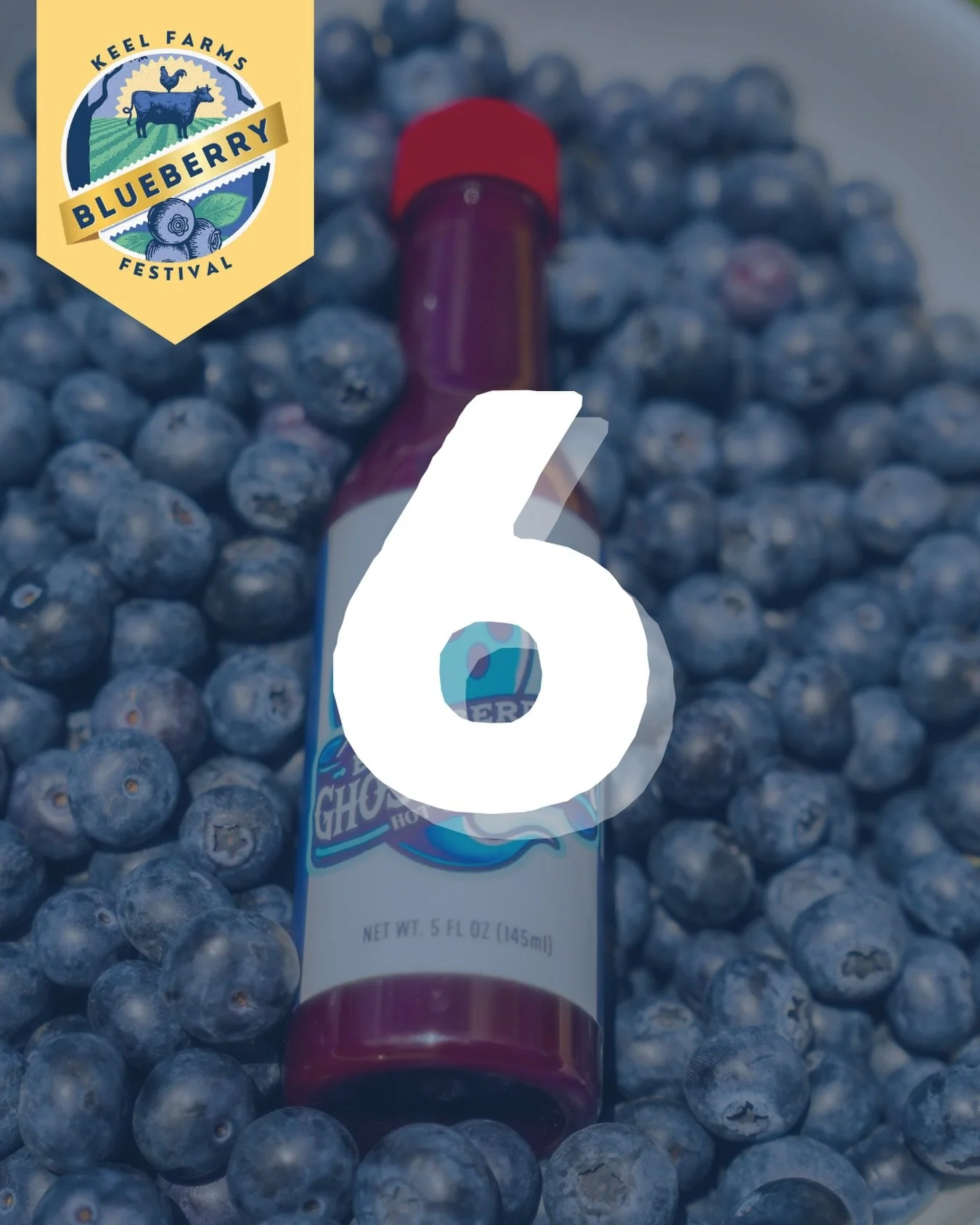 6 DAYS UNTIL BLUEBERRY FESTIVAL 🌶️🫐

Take home a bottle of Blueberry Ghostpepper Hot Sauce if you think you can handle the heat. 🔥

🗓️ Every weekend in April | 10AM&ndash;3PM (Closed Easter Sunday)
🅿️ Free admission | $10 parking

#blueberryfest