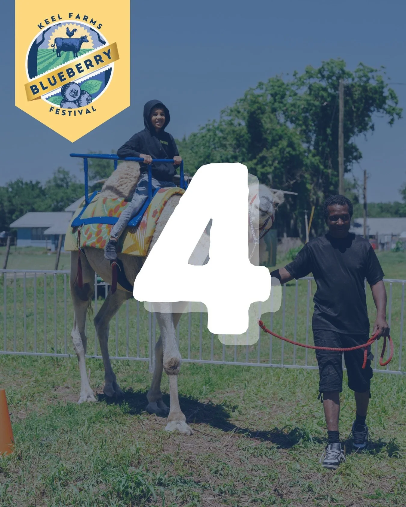 4 DAYS UNTIL BLUEBERRY FESTIVAL 🐪✨

Even more fun for the kids! Camel rides and other pay-to-play activities make it a day they won&rsquo;t forget 🎉

🗓️ Every weekend in April | 10AM&ndash;3PM (Closed Easter Sunday)
🅿️ Free admission | $10 parkin