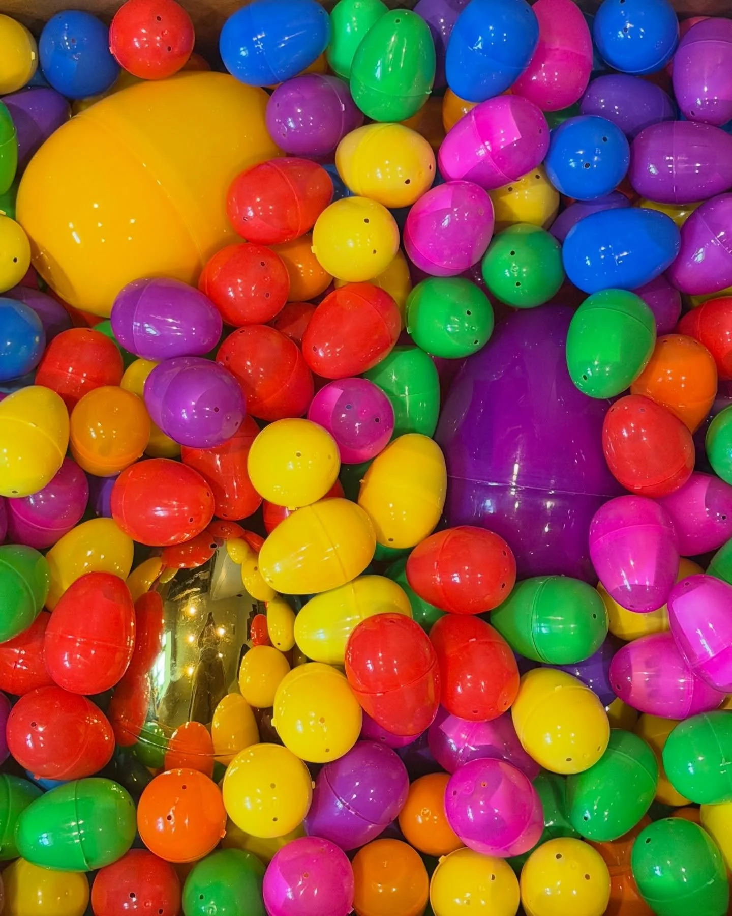 The first weekend of our Blueberry Festival kicks off this Saturday with an Easter Egg Hunt at 10 AM! 🫐

Eggs will be scattered across the farm and in the blueberry bushes, including jumbo &amp; golden eggs with special prizes from our vendors and T