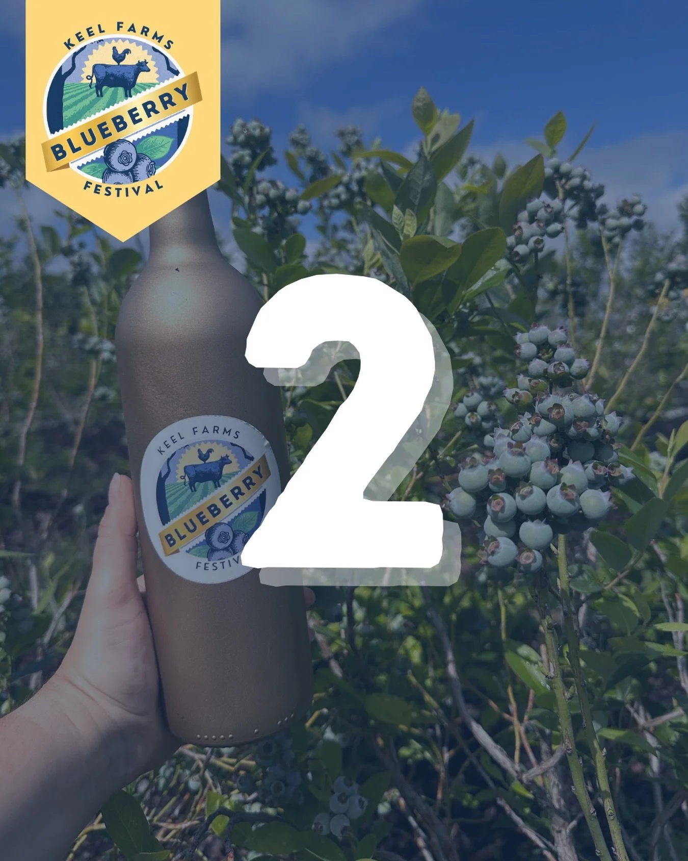 2 DAYS UNTIL BLUEBERRY FESTIVAL 🫐✨

Keep your eyes open 👀 Find the hidden golden bottle each day and redeem it for a special prize!

🗓️ Every weekend in April | 10AM&ndash;3PM (Closed Easter Sunday)
🅿️ Free admission | $10 parking

#BlueberryFest