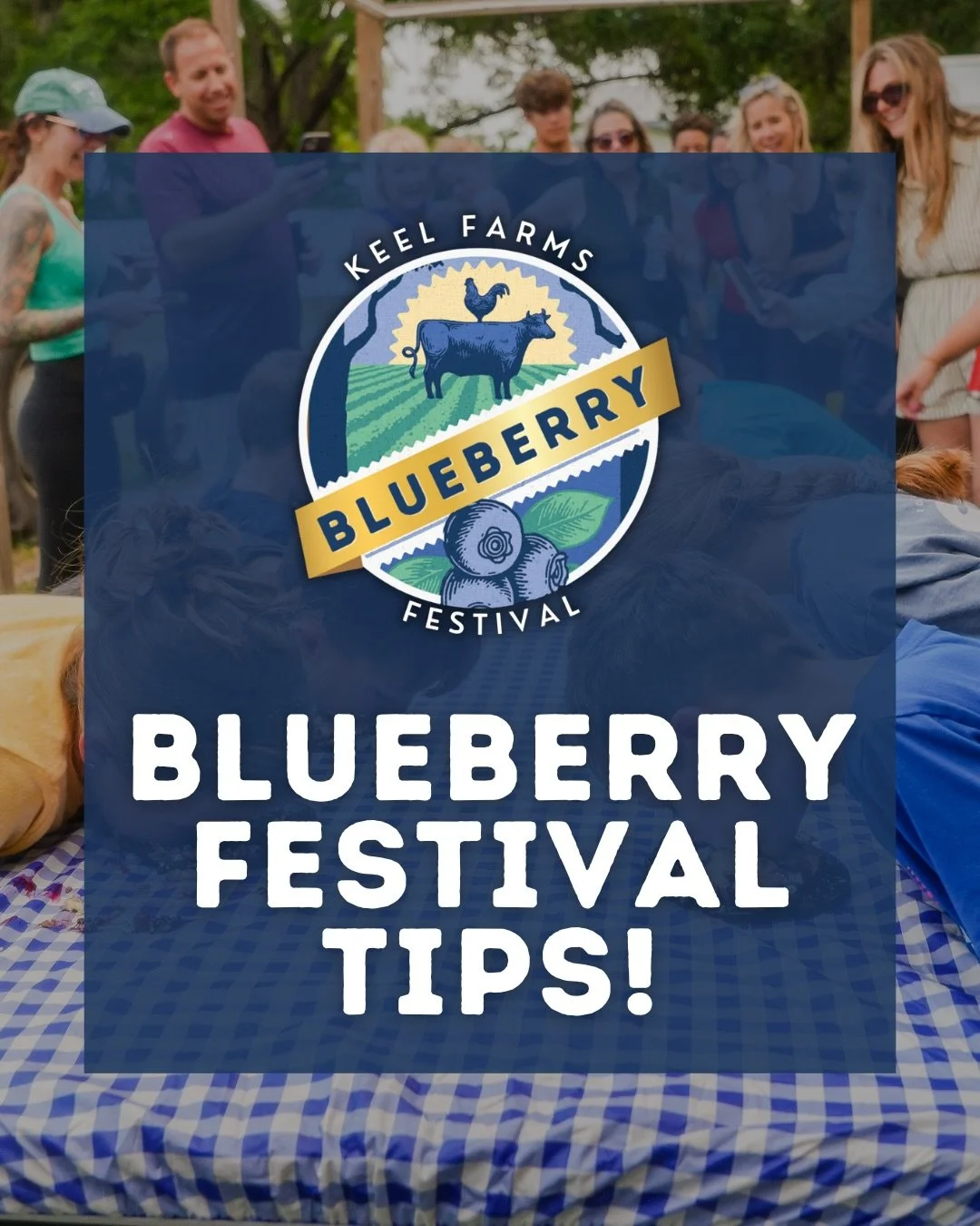 Planning a trip to our Blueberry Festival this April? 🫐💙We&rsquo;ve got you covered with everything you need to know!

Check out all the details before you go so you can spend less time planning and more time making sweet memories 🌿✨

We can&rsquo