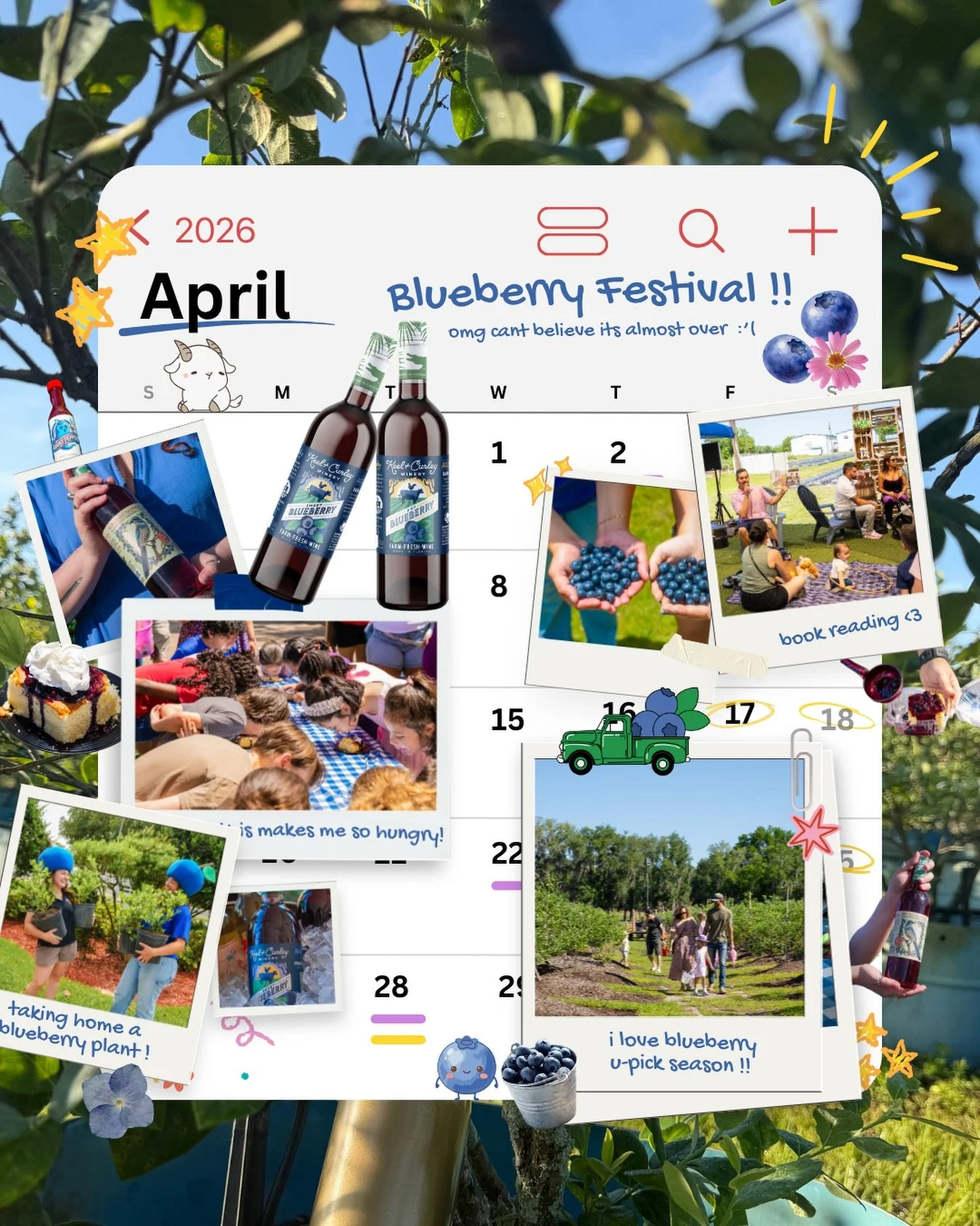 Flipping back through the sweetest moments&hellip; 🗓️🫐

Our Blueberry Festival has been packed with unforgettable moments, from packed contests to smiling faces and trust me plenty of blueberry treats. But don&rsquo;t flip the page just yet&hellip;