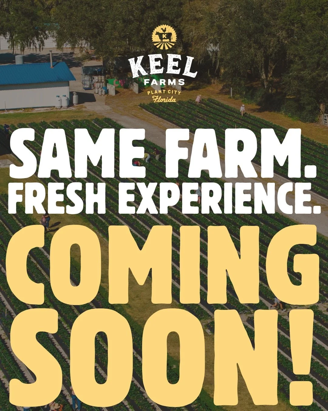 Same Farm. FRESH Experience. Big changes are happening at Keel Farms, and we can&rsquo;t wait to share them with you! 💛

Soon we will begin building out our NEW kitchen, which means we&rsquo;ll be transitioning to food truck service and launching TH